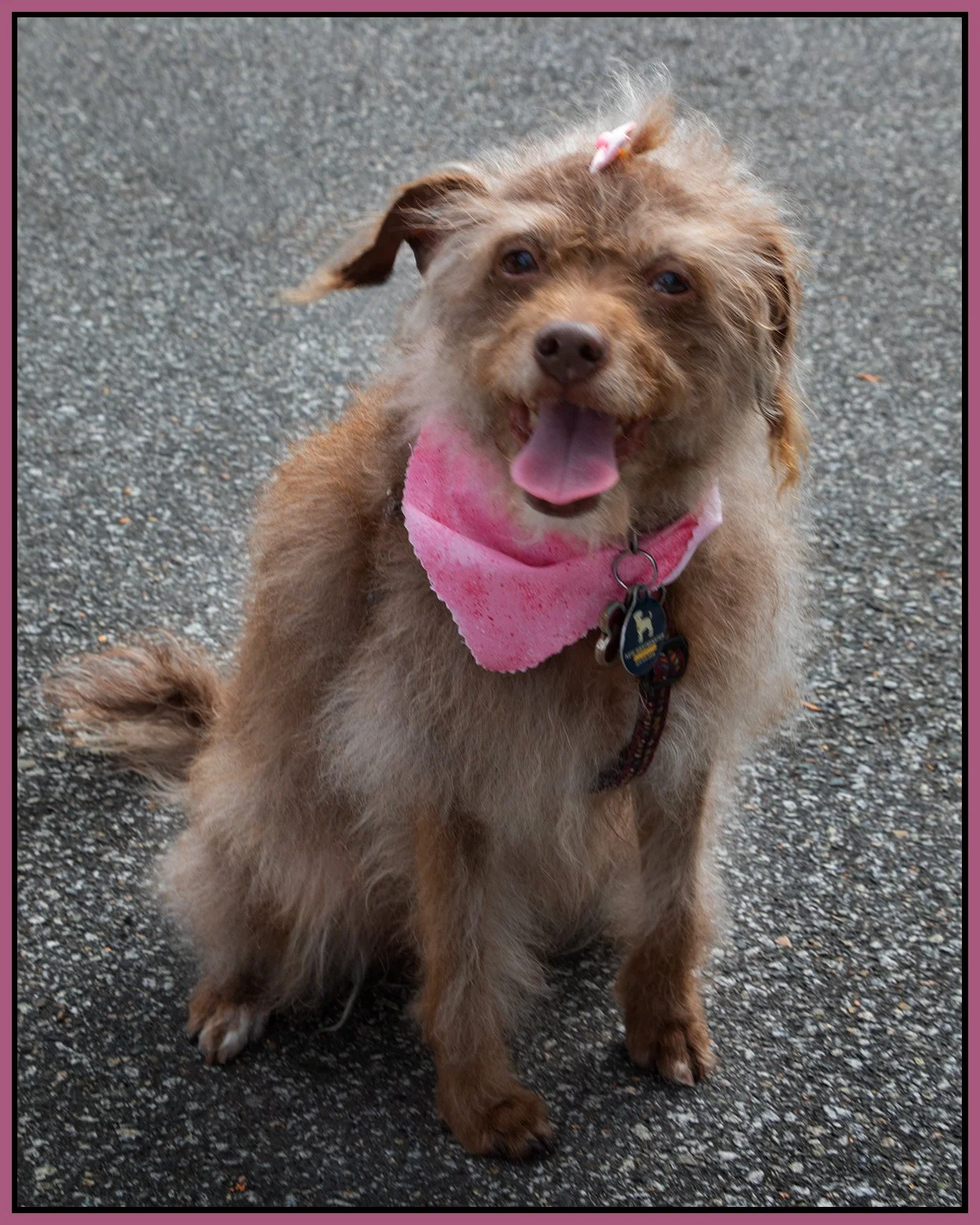 Frances Groomed_Aug 13_2025_CR2_4K0909_4x5s.jpg