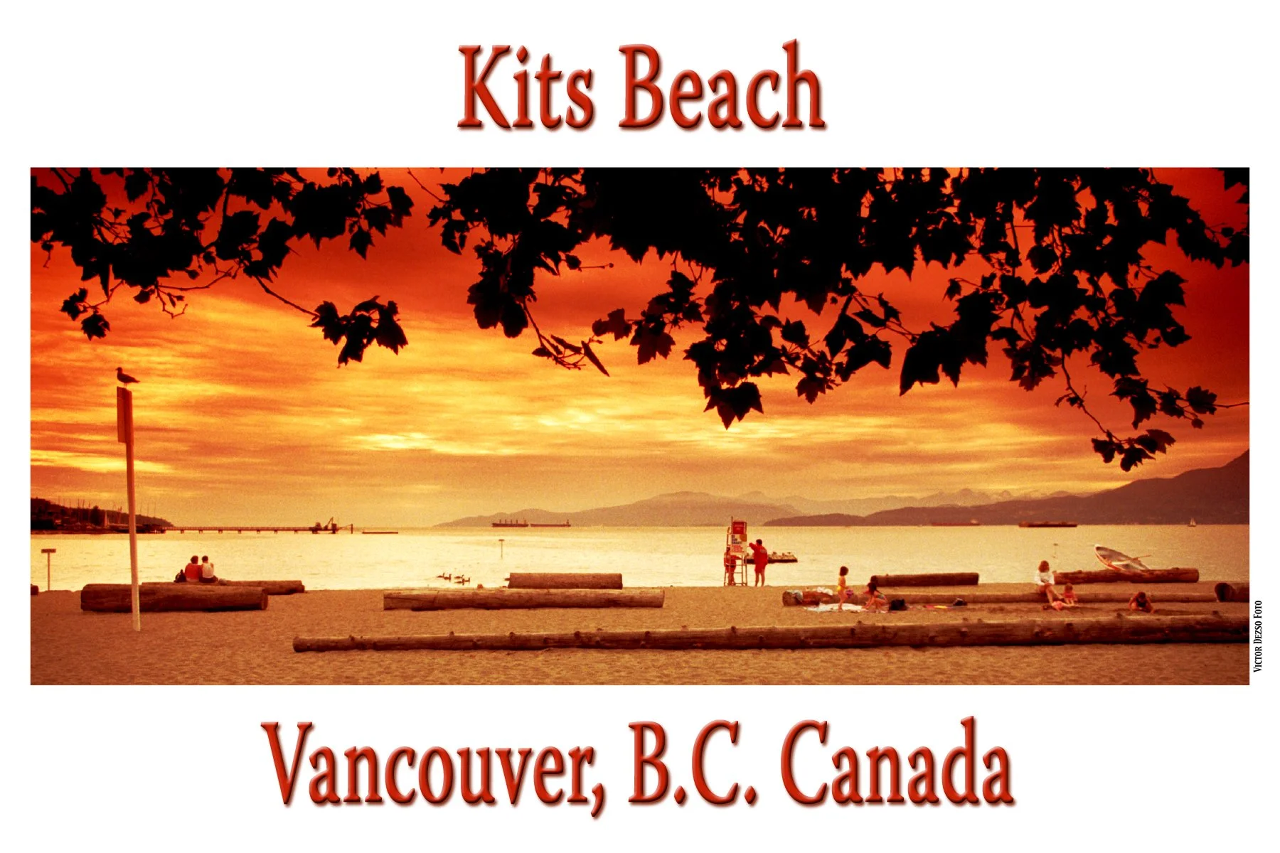 Kits Beach_6_29_96_2.4x6.jpg