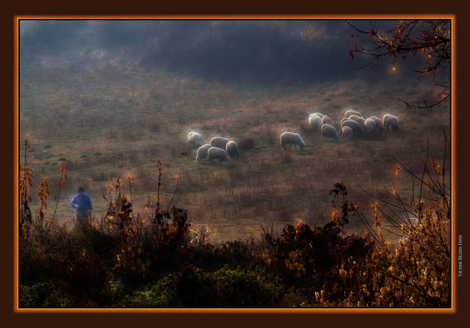Flock of Sheep_Nov 4_201_5323_peSat&Glo_4x6s.jpg