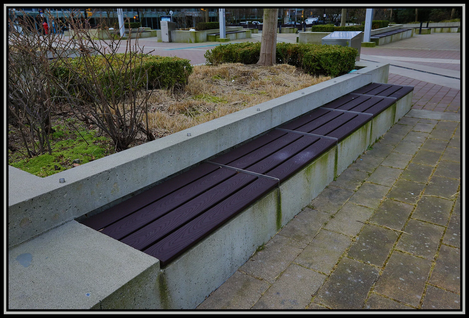 Benches in Jack Poole Plaza_Mar 5_2019_HDR_E3926_4x6s.jpg