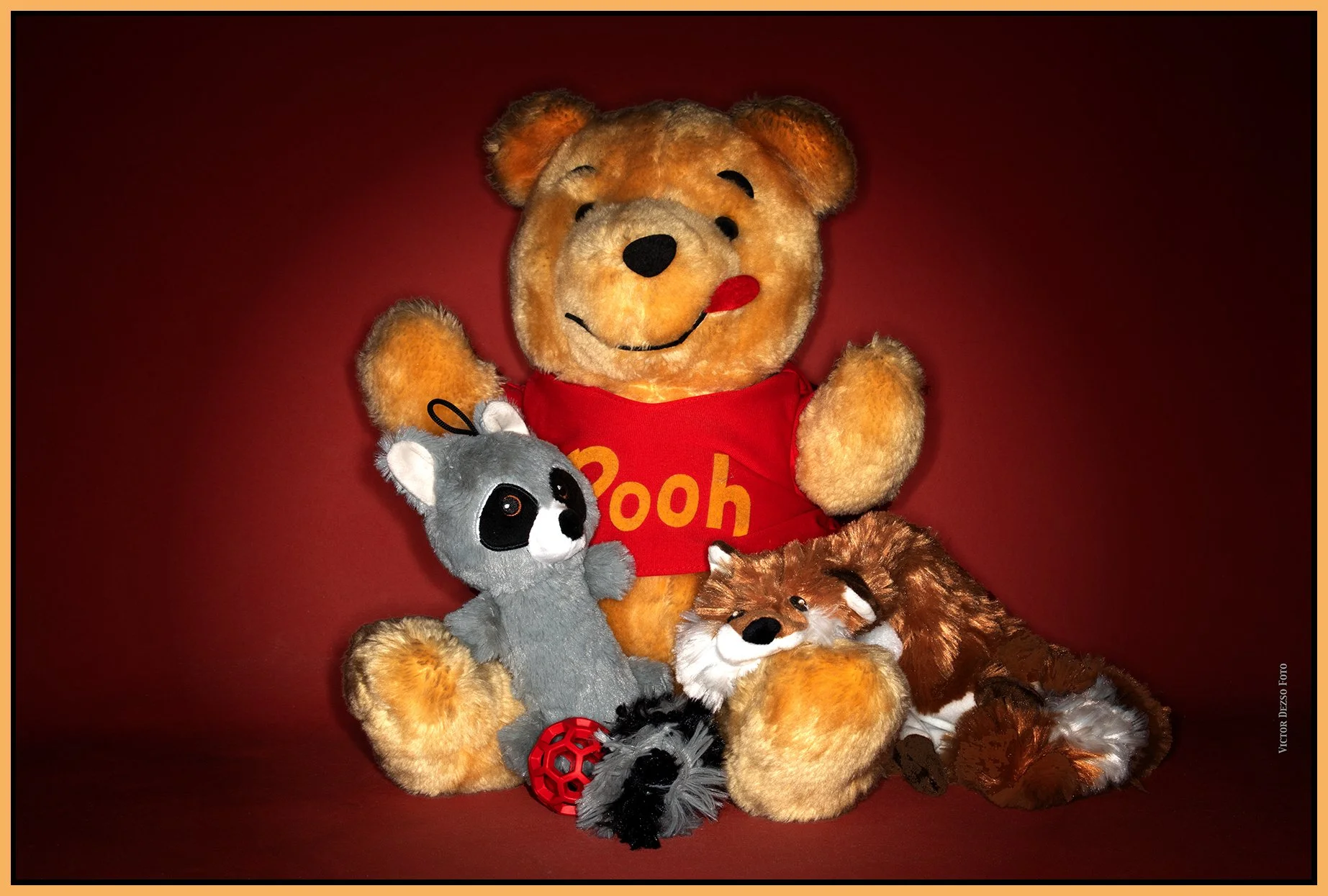 Pooh and Friends_Aug 27_2023_CR2_4H8362_peDecRadVig_4x6s.jpg