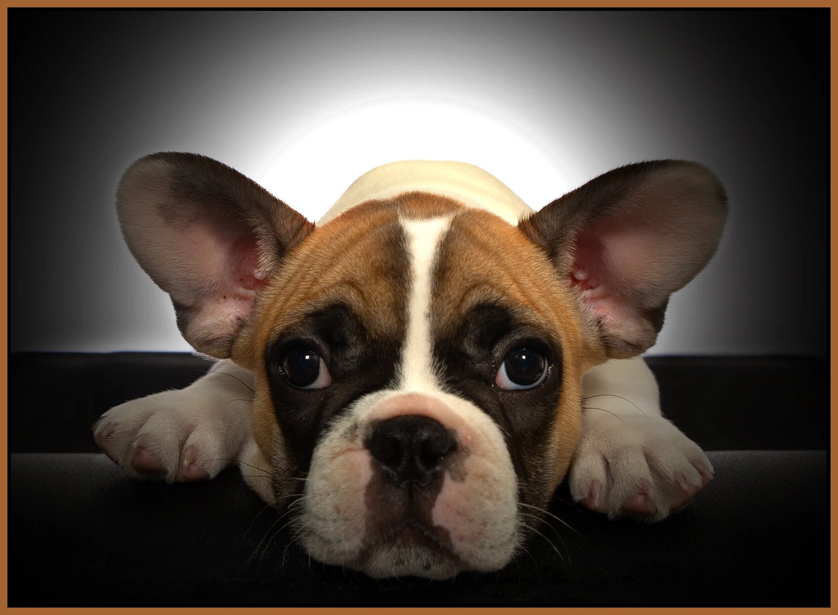 Kona_Sep 11_2021_CR2_5A2218_peIntense_4x5.5s.jpg