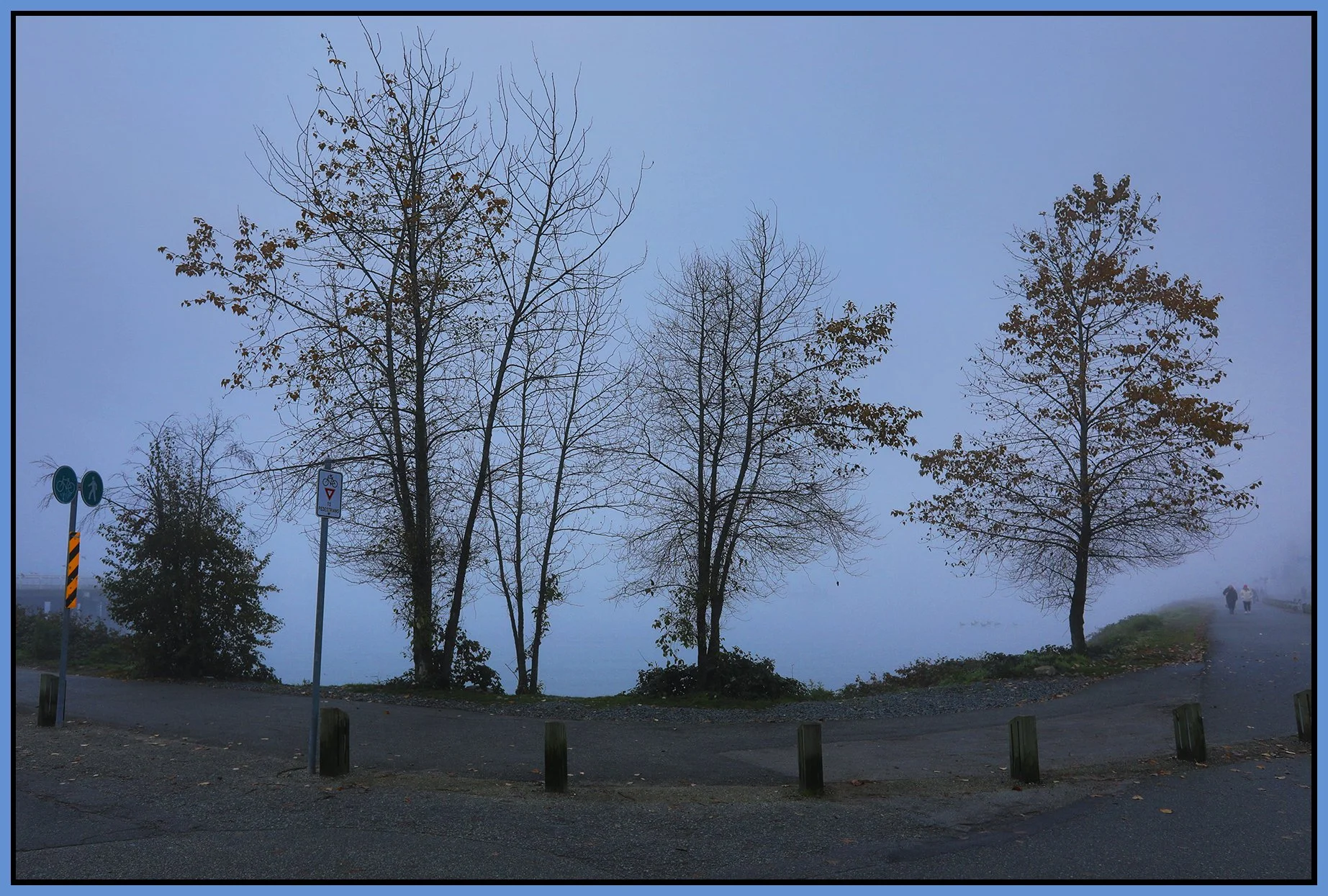 6 View Trees False Creek in Fog_Nov 29_2023_HDR_5E1091_4x6s.jpg