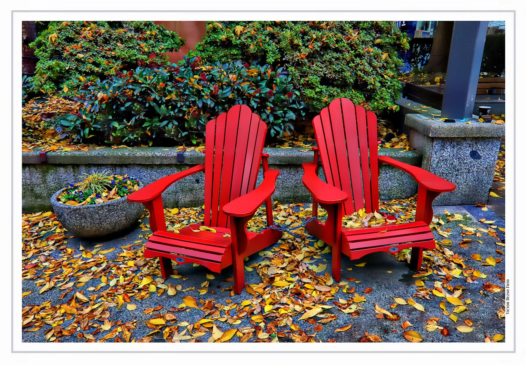 Seating in Lot 19_Nov 7_2020_HDR_4G3072_peHdr2013_4x6s.jpg