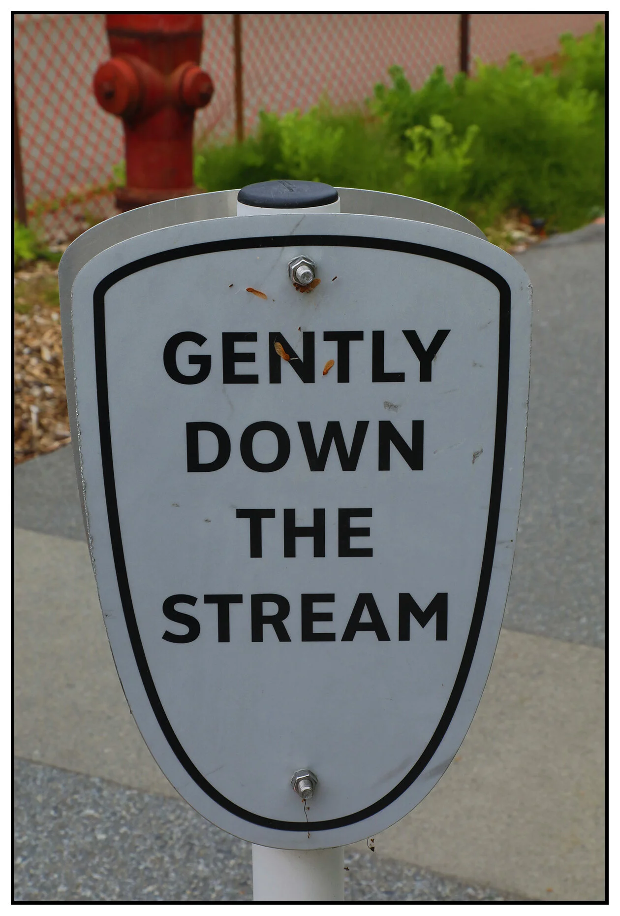 Street Sign_May 30_2021_HDR_4G9434_4x6s.jpg