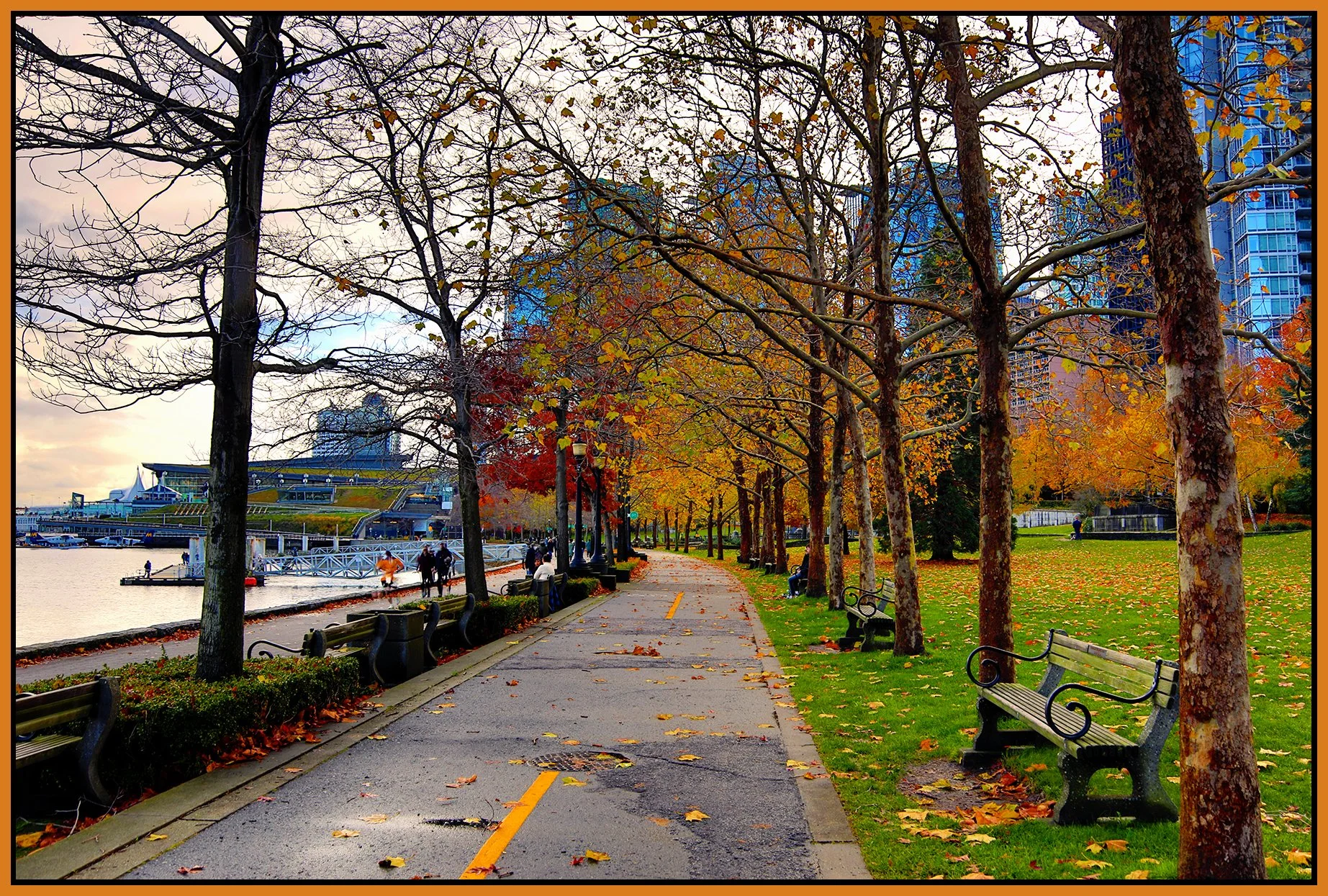 Harbour Green Park Walkway_Nov 12_2023_HDR_4H9089_peHyperstrip_Pop_4x6s.jpg