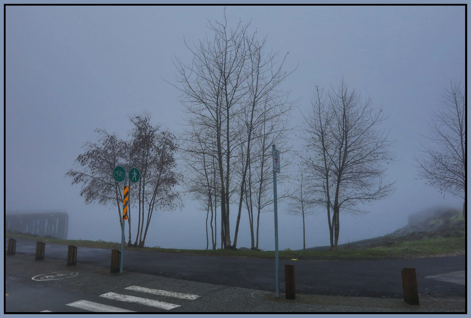 6 View Trees_Jan 14_2018_HDR_C2605_4x6ss.jpg