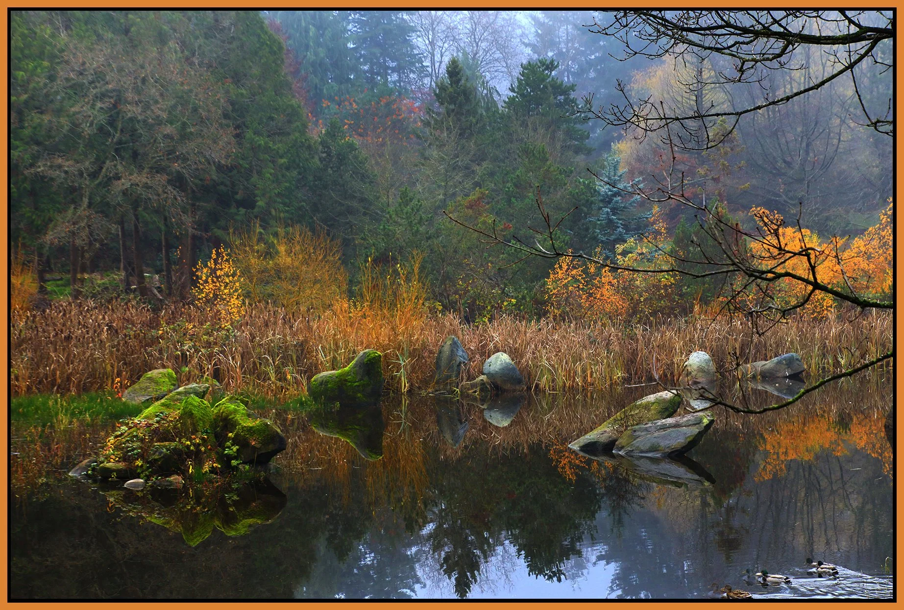 Charleson Park Pond_Nov 26_2023_HDR_4H9228_4x6s.jpg
