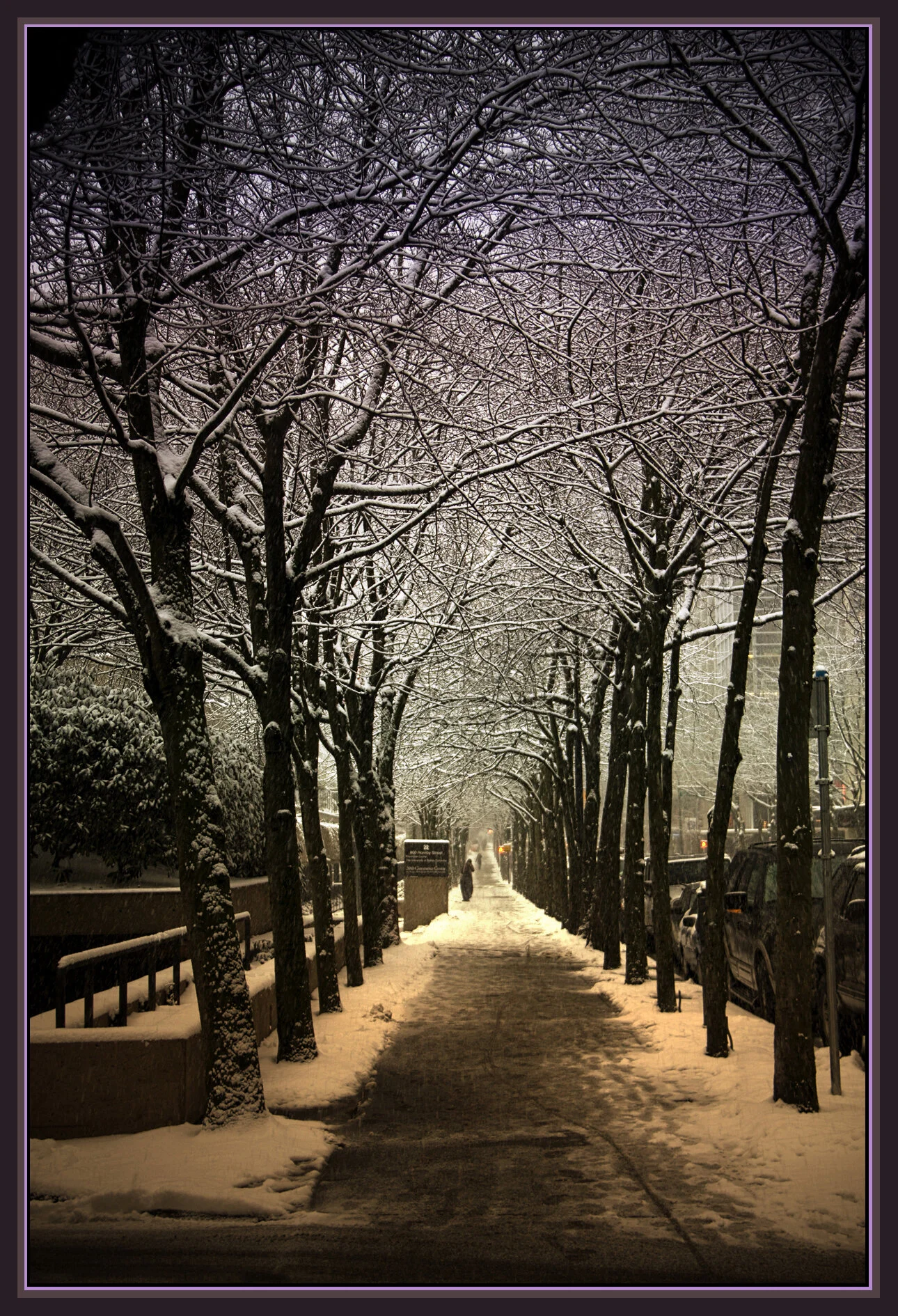 Robson-Hornby_Dec 17_08_0613_peIntnSunst_4x6s.jpg