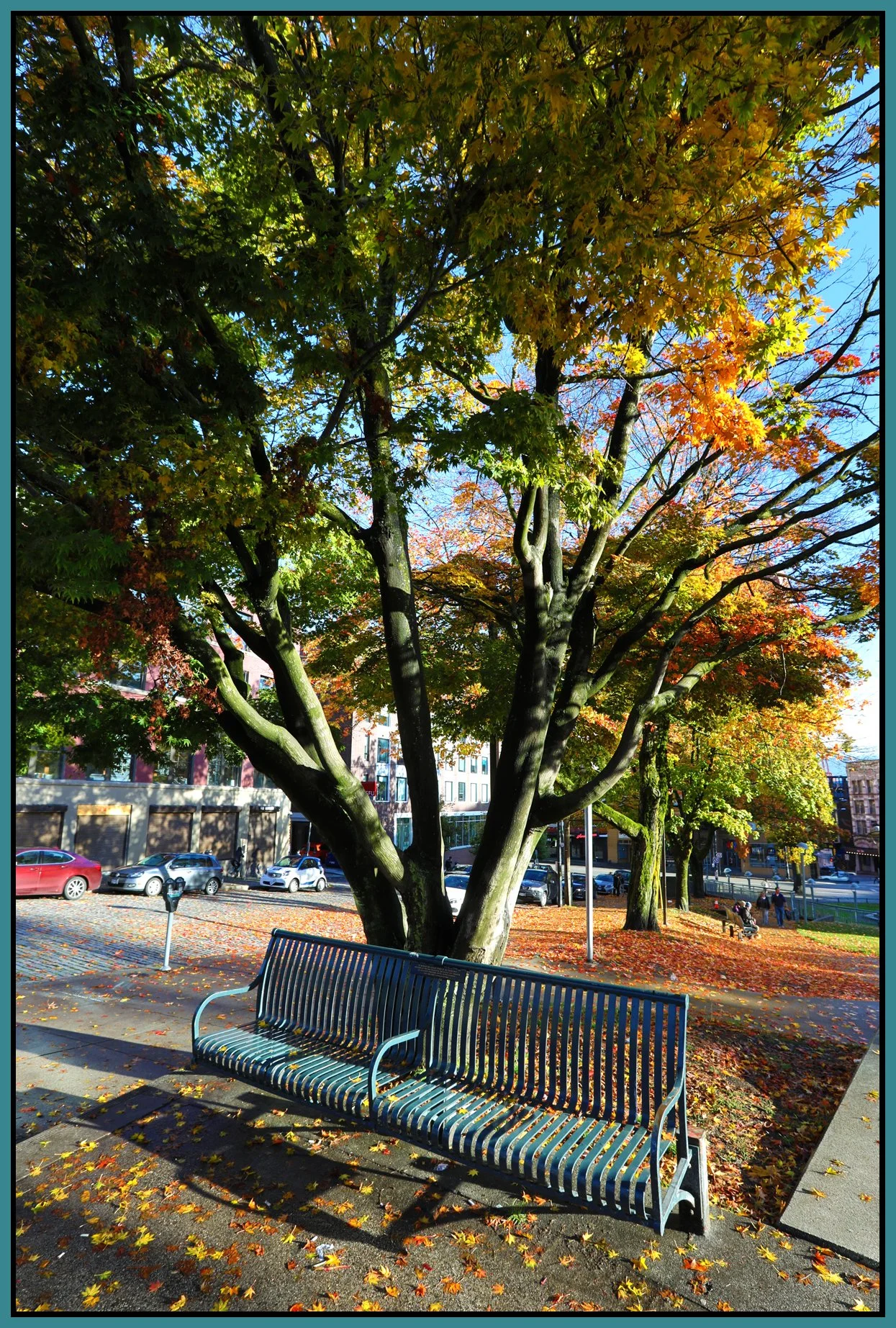 Bench on W Pender_Oct 22_2017_HDR_B2699_4x6s.jpg