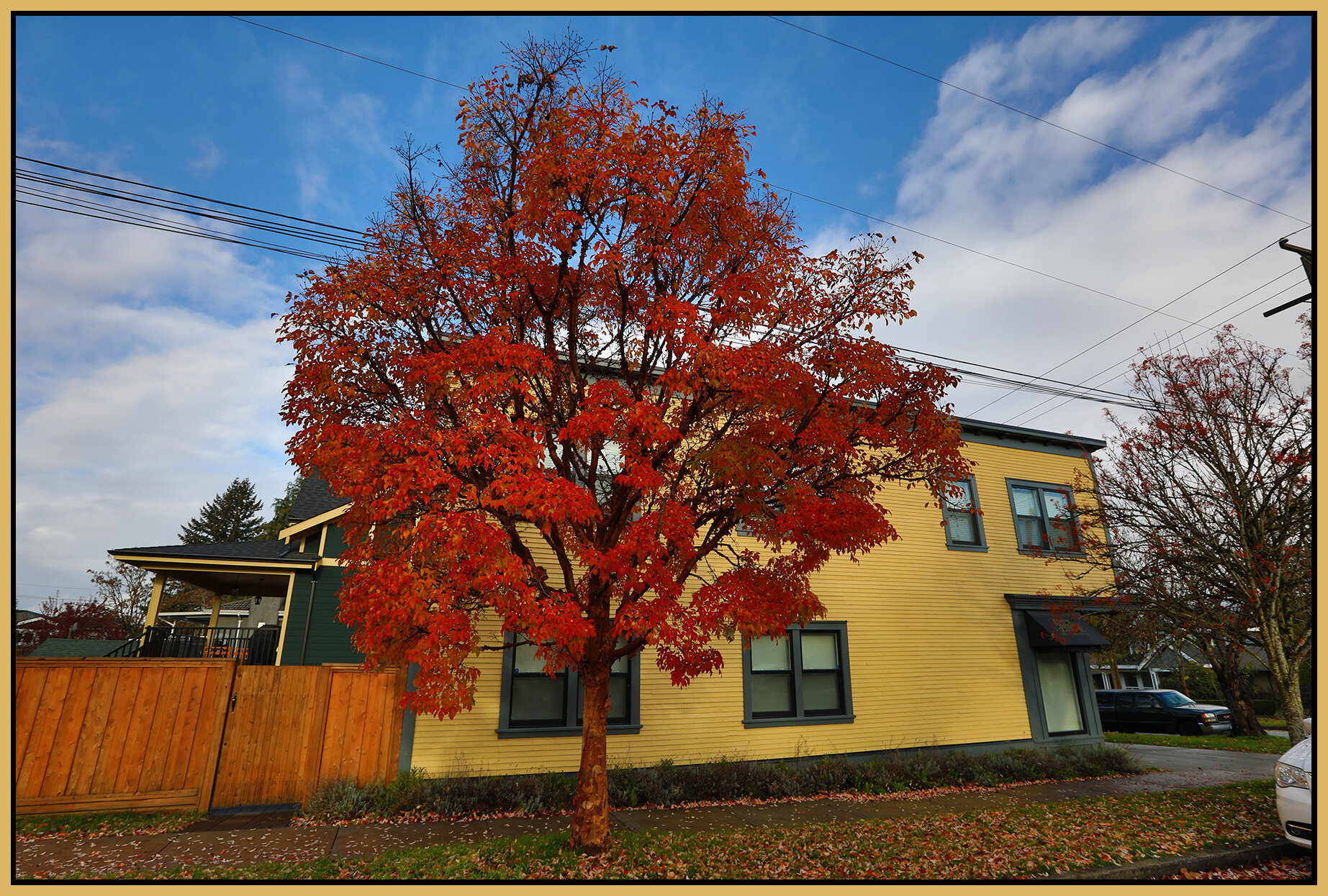 New West Houses_Nov 15_2020_HDR_4G4848_4x6s.jpg