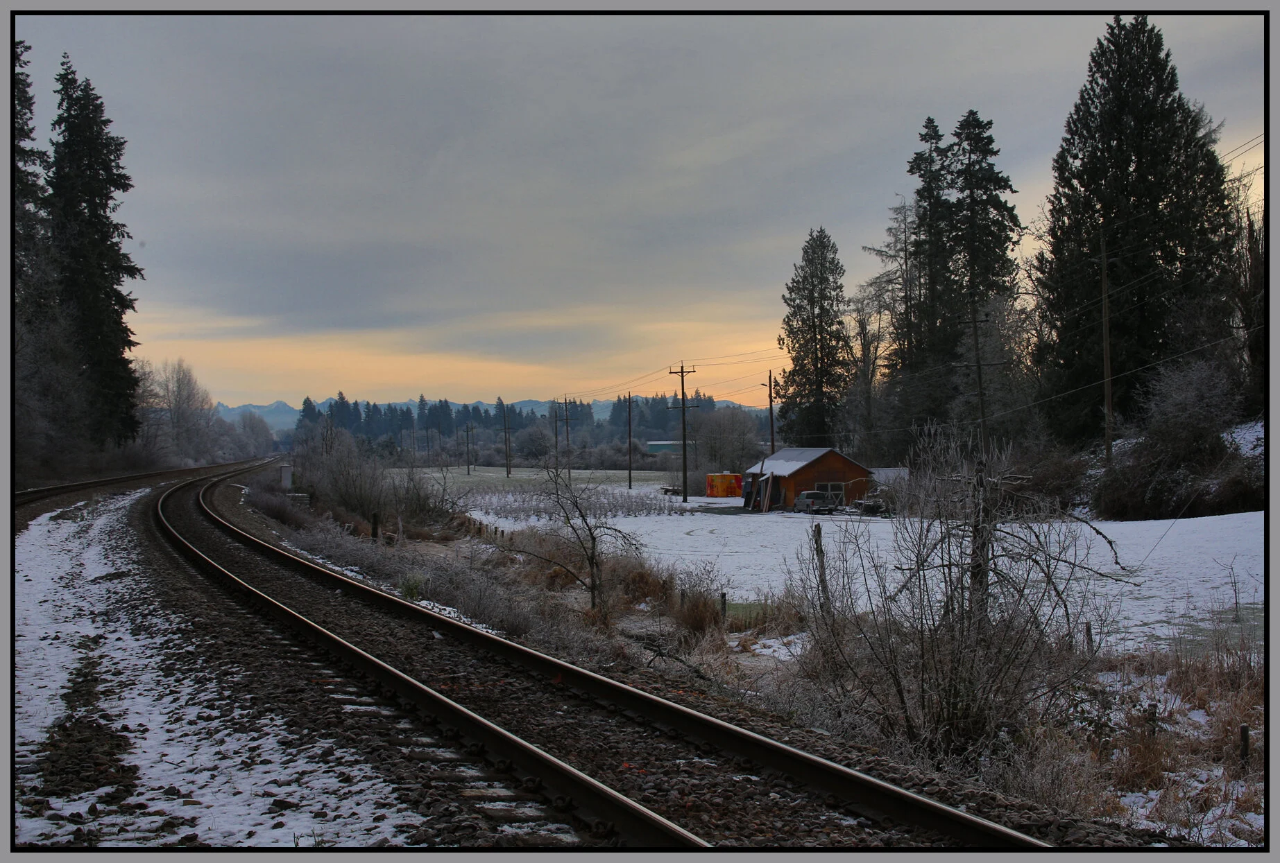 Langley Trees_Jan 2_2018_HDR_L0507_4x6s.jpg