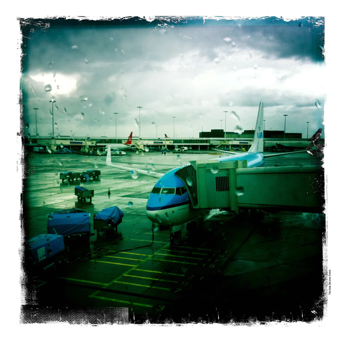 Amsterdam_Oct 18_2011_0417_4x5s.jpg