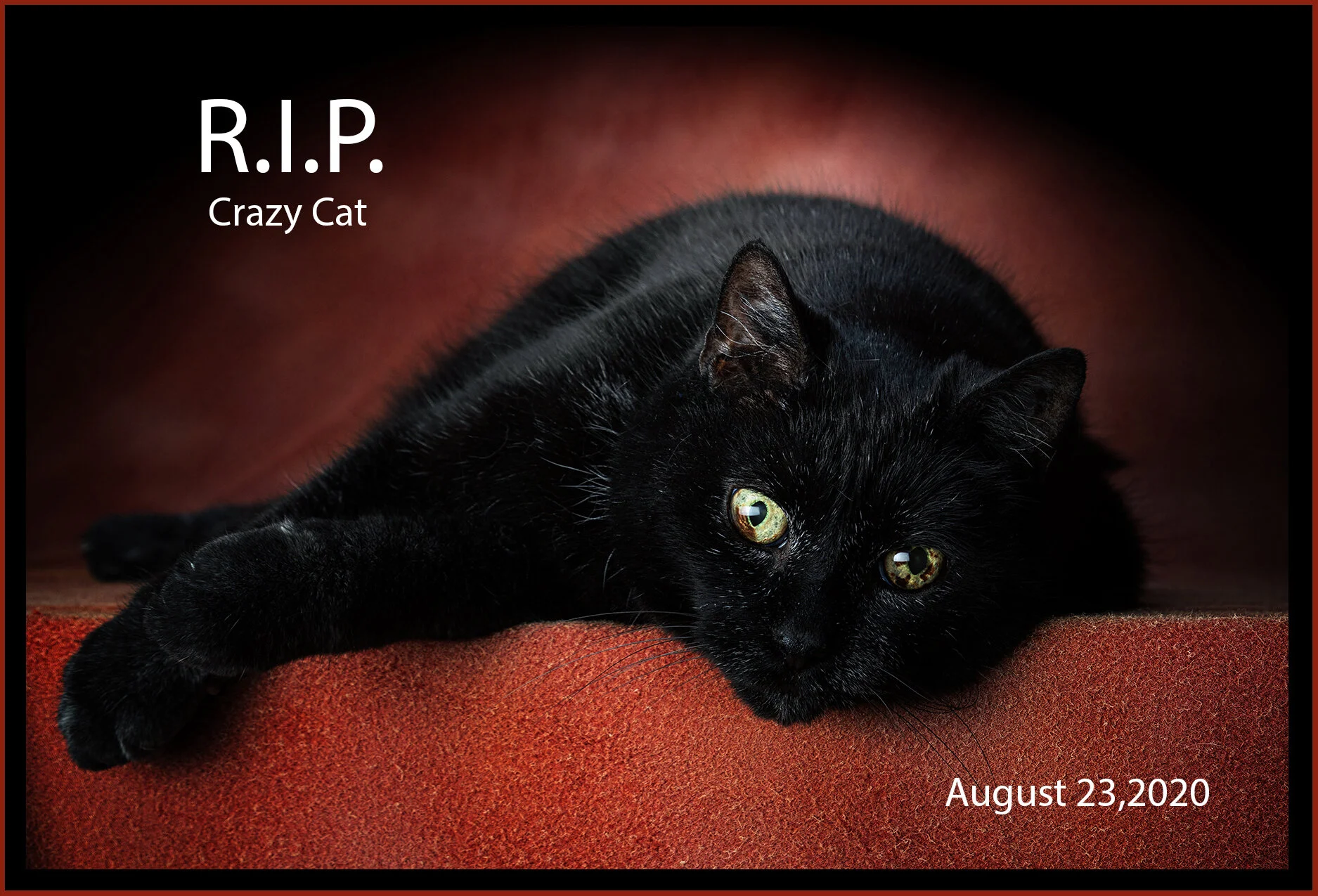 CC RIP_Aug 23_2020_CR2_4F4760_peShrpfctbrtnd_4x6s.jpg