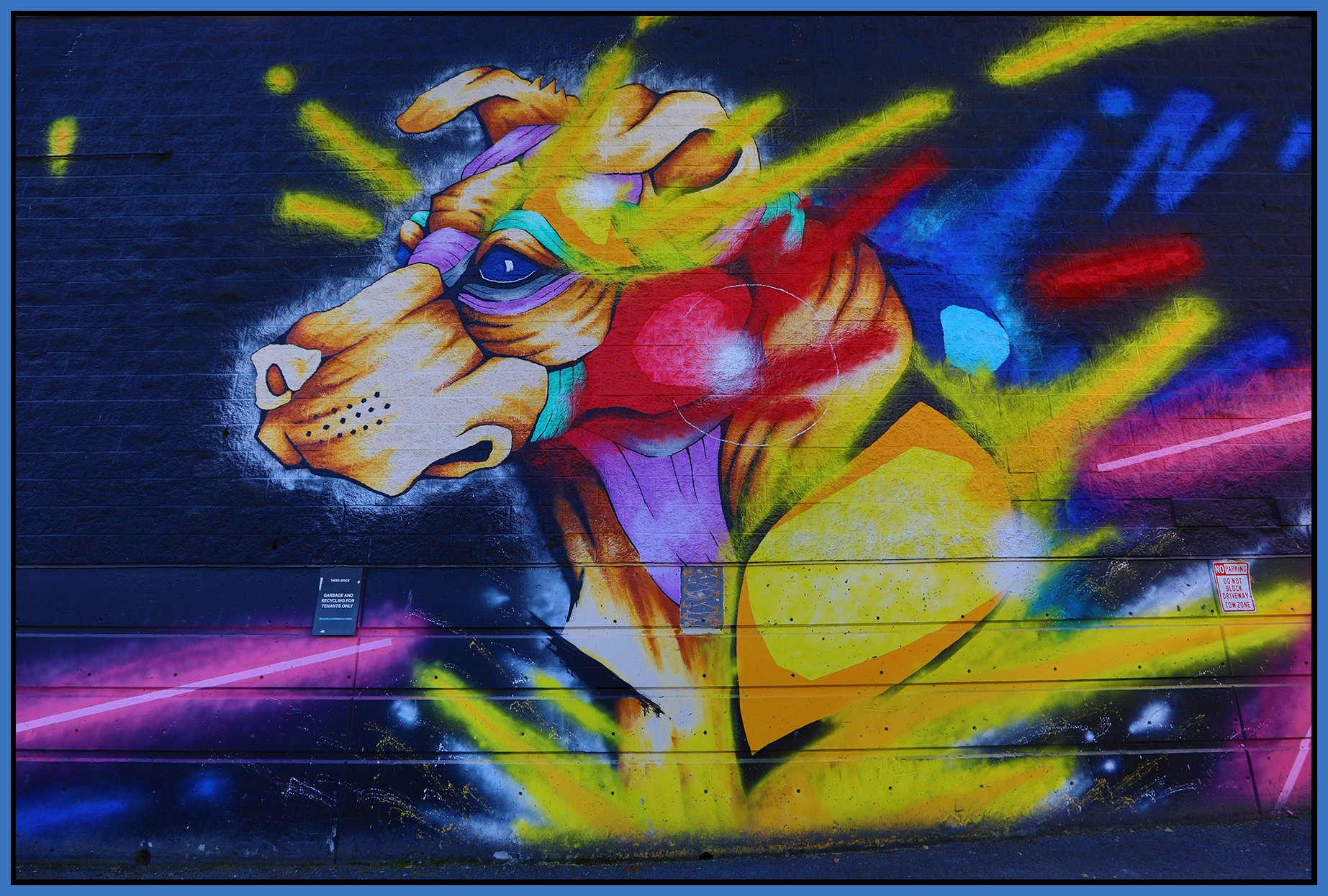 2410 Alma Mural_Sep 30_2024_HDR_5E2070_4x6s.jpg