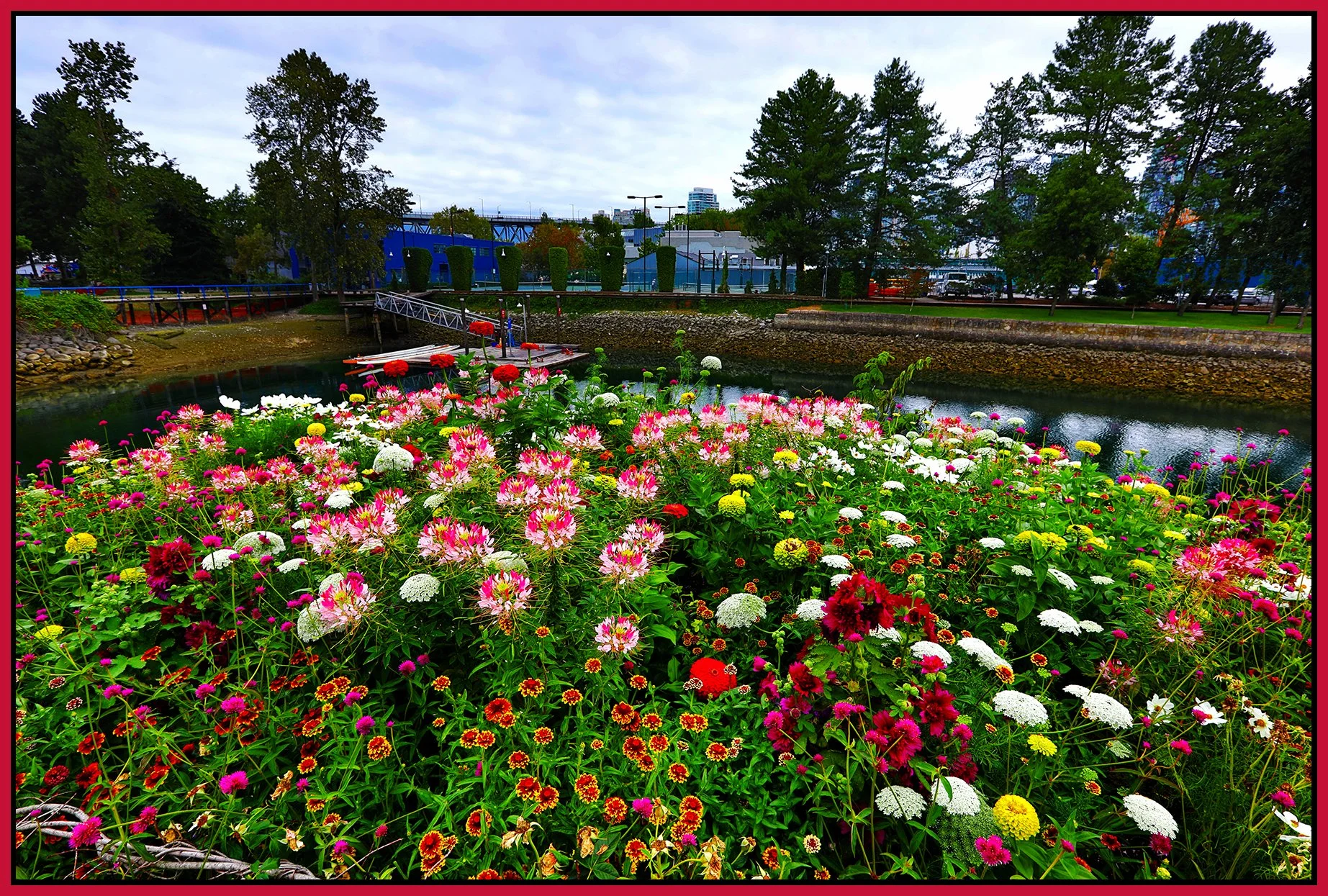 Flowers_Aug 14_2024_HDR_5E8206_peSimpleDehaze_4x6s.jpg