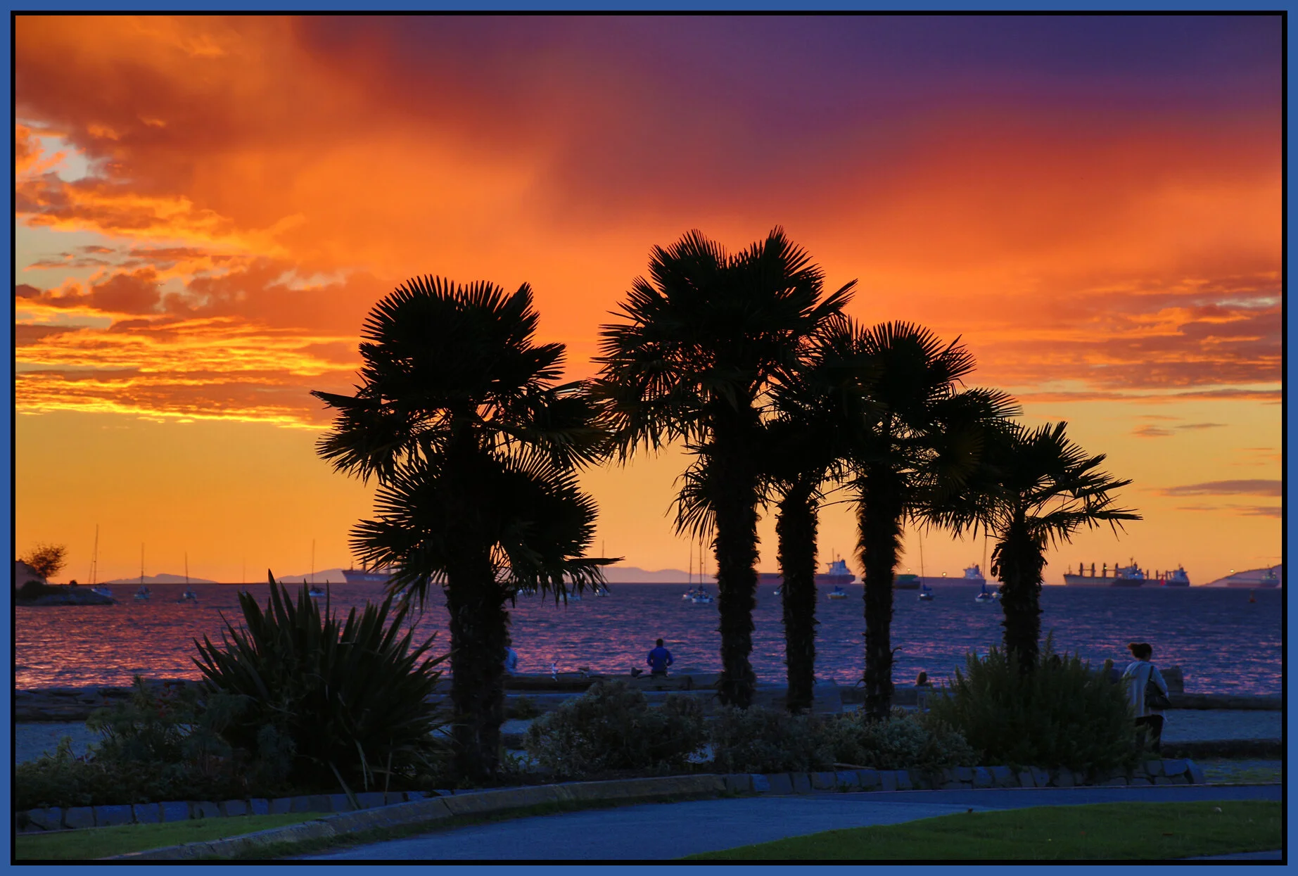 English Bay Palms_Sep 20_2016_HDR_L7369_4x6s.jpg