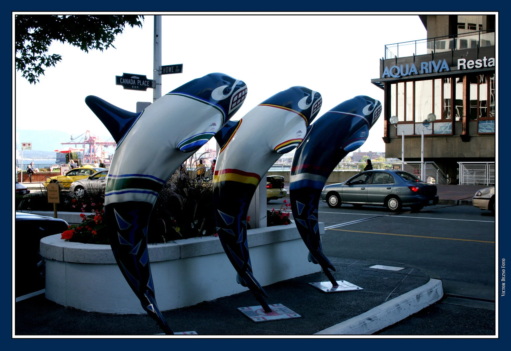 Dolphins Art_Sept 19 2005 04_8624_4x6s.jpg