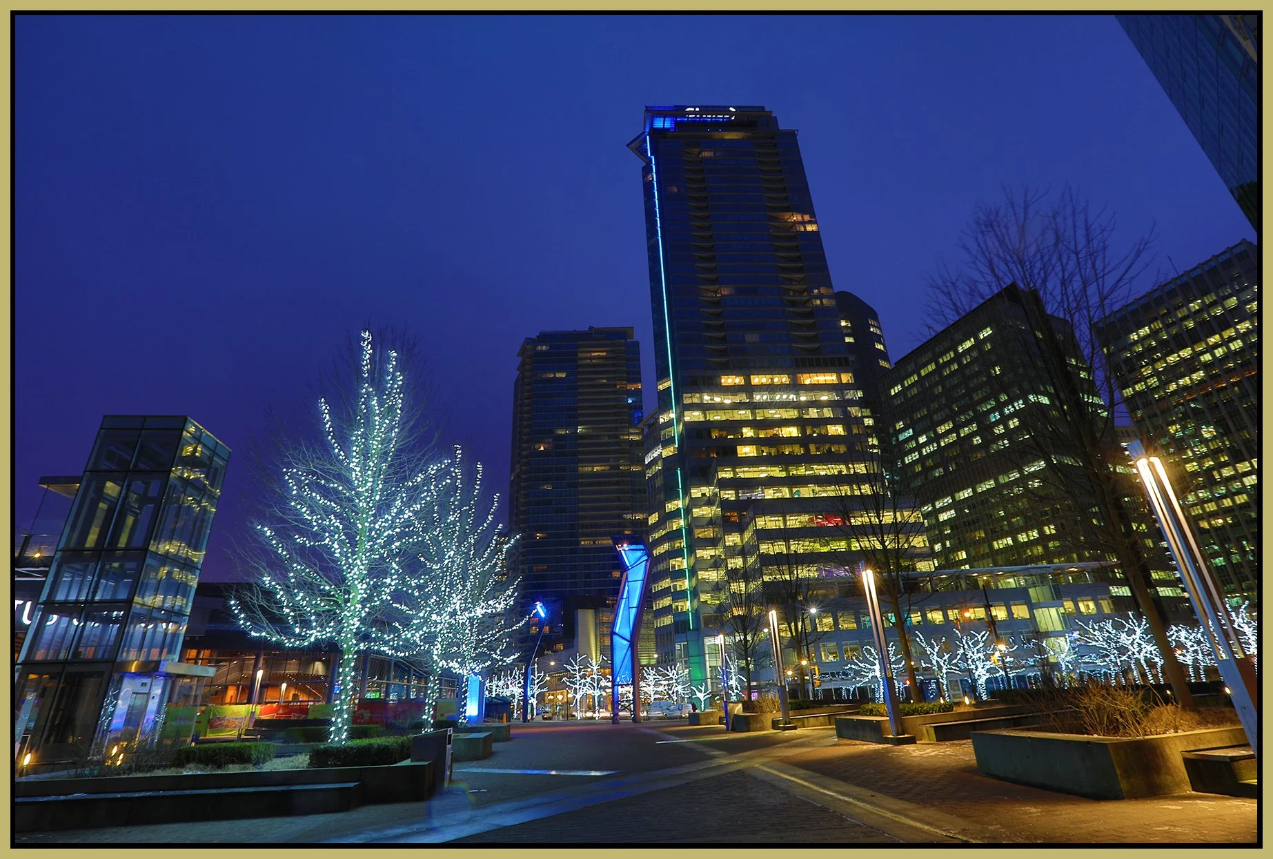 Jack Poole Plaza Trees_Jan 6_2017_HDR_4A4748_4x6s.jpg