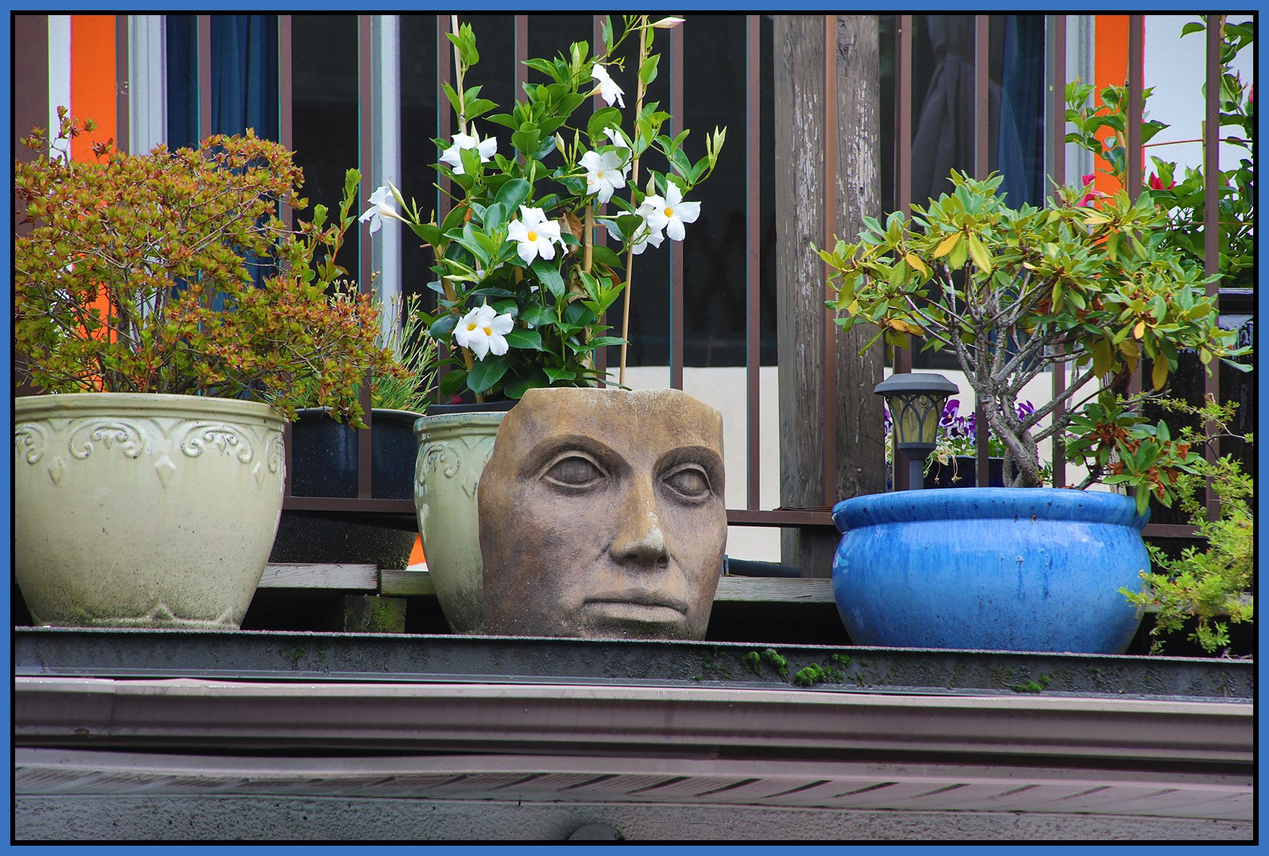 Kitsinao Face Art_Aug 17_2025_HDR_4K1156_4x6s.jpg