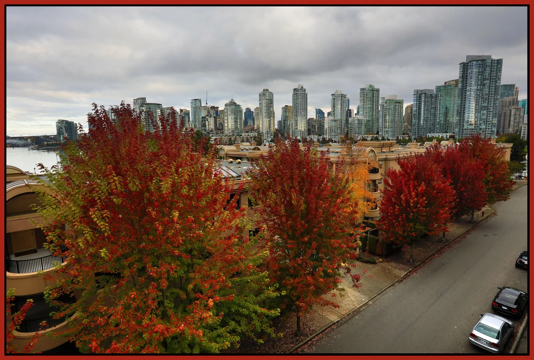 Cambie Bg LkgNW Trees_Oct 9_2016_HDR_A1778_4x6s.jpg