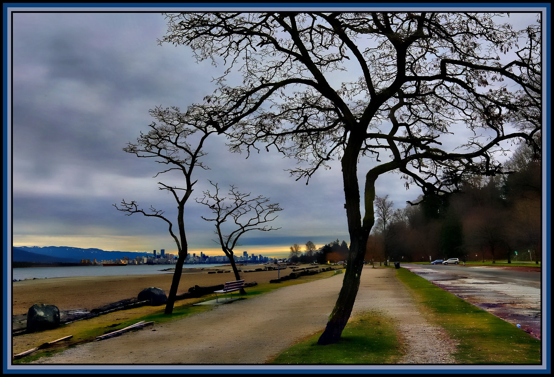 Trees on Spanish Banks_Jan 2_2019_HDR_A1667_peHdr2013_1_4x6s.jpg