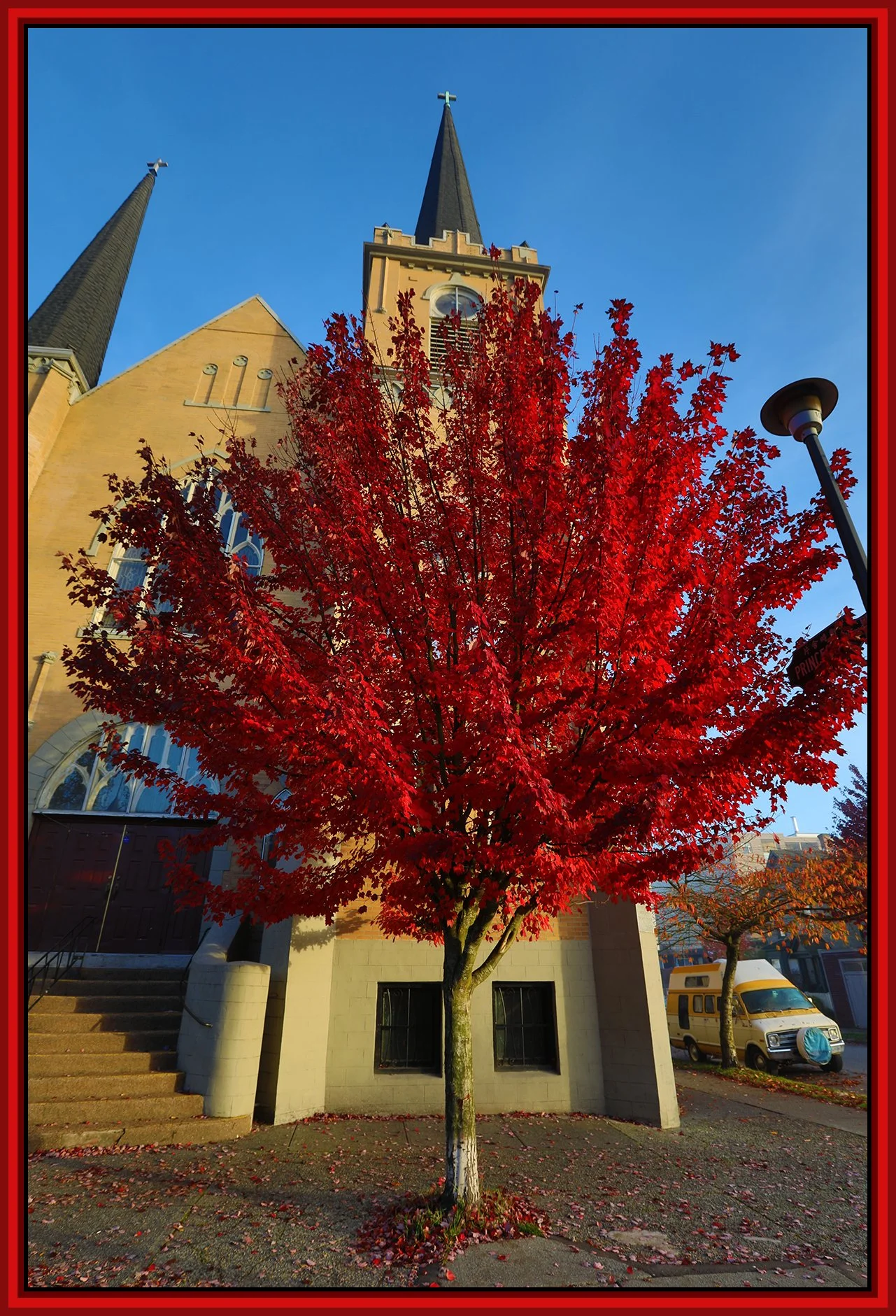 Strathcona Church Tree_Oct 27_2018_HDR_D1451_4x6s.jpg
