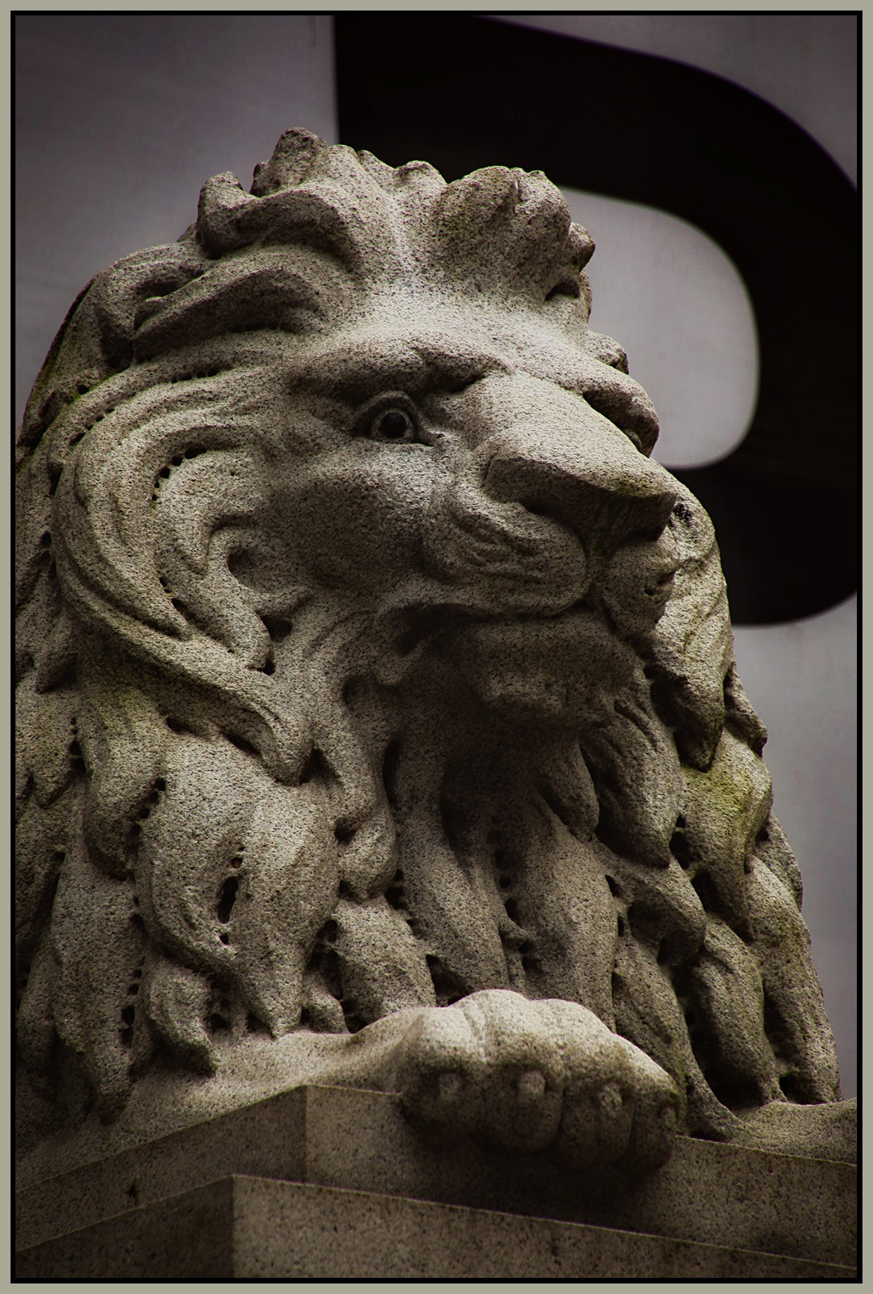 Art Gallery Lion_Jan 24_2022_HDR_5A7768_peOlsnArtLoClr_4x6s.jpg