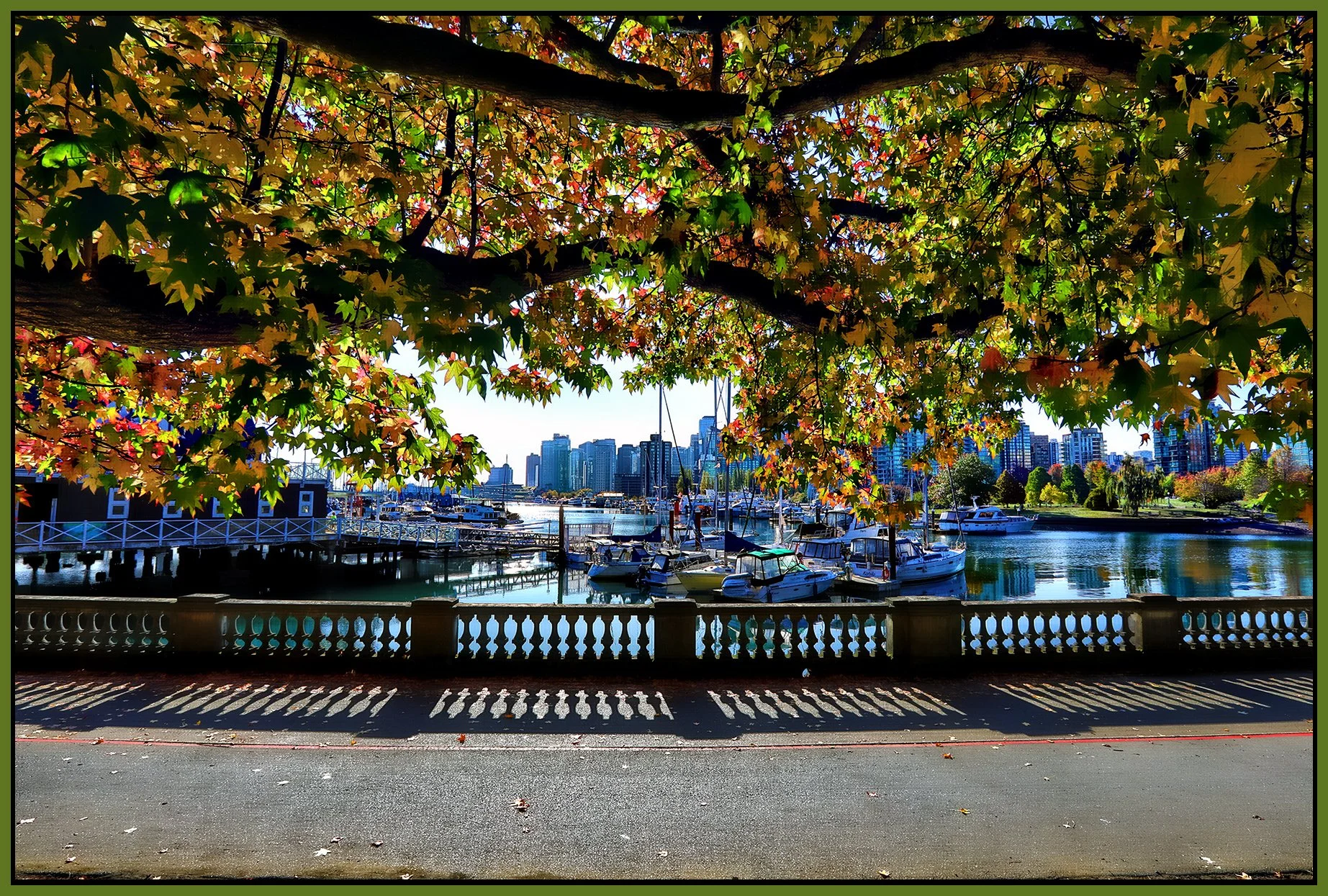 Vancouver from Stanley Park_Sep 30_2023_HDR_5C6632_peHdr2013_1_4x6s.jpg
