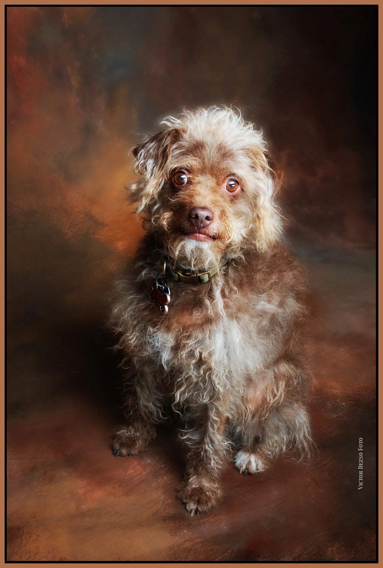 Frances_Jun 11_2023_4H7709_peSat&Glo_hdrdecrad_4x6s.jpg