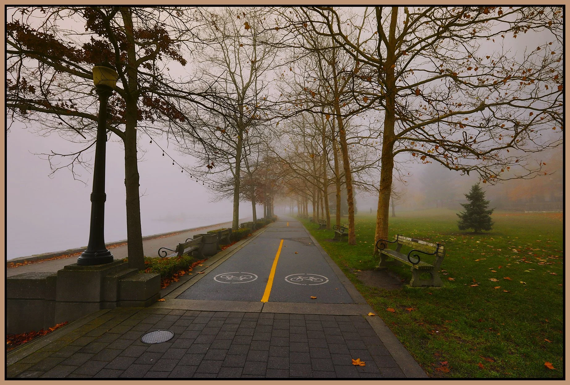 Harbour Green Park Walkin Fog_Nov 28_2023_HDR_5E1031_peEWGT_4x6s.jpg