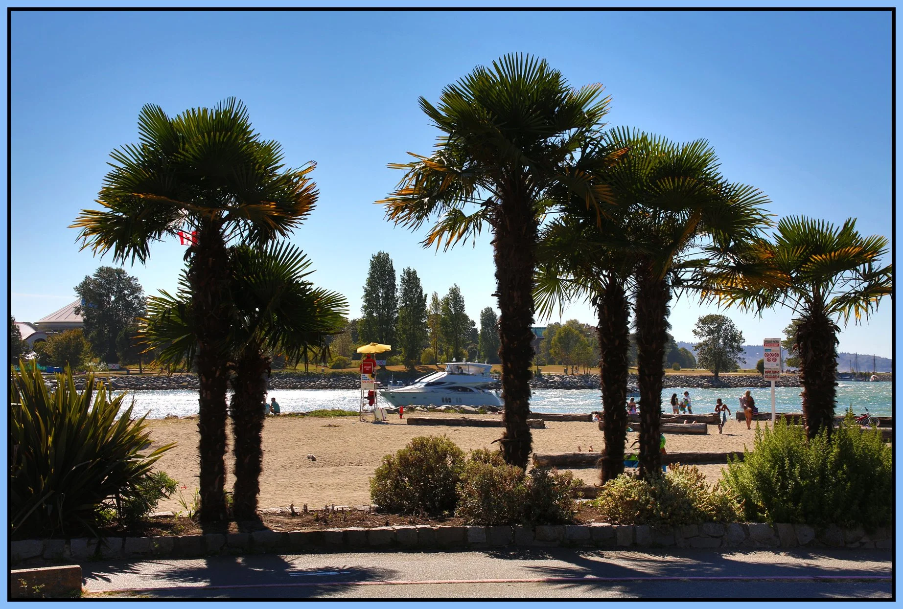English Bay Palms_Aug 17_2016_HDR_L2792_4x6s.jpg