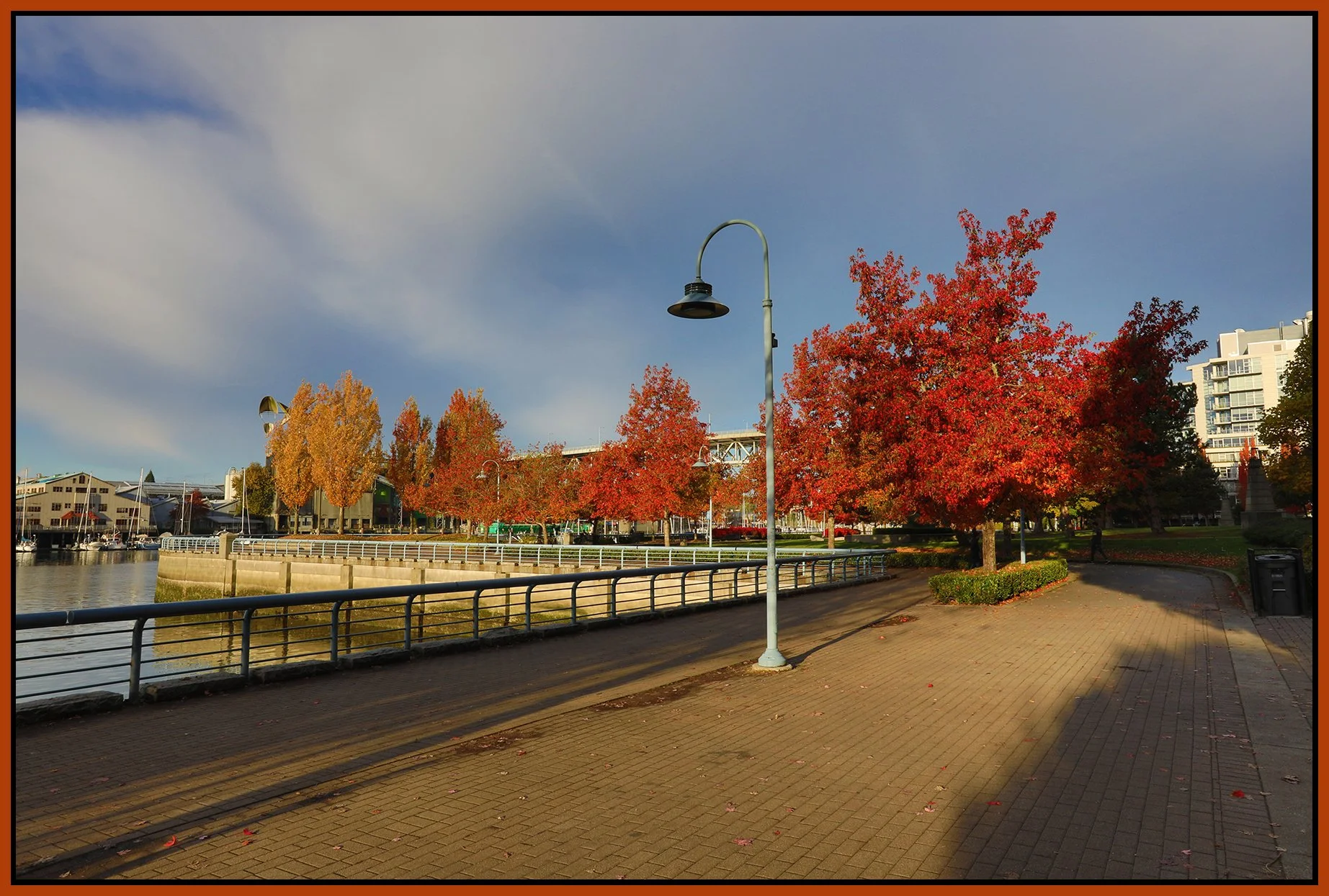 Concord Pacific Trees_Nov 2_2022_HDR_5C4584_4x6s.jpg