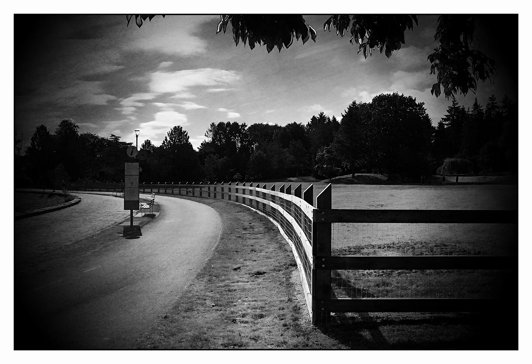 Charleson Pk New Fence_Jul 16_2021_HDR_4G0684_peRecvrFadedPhoto_4x6s.jpg