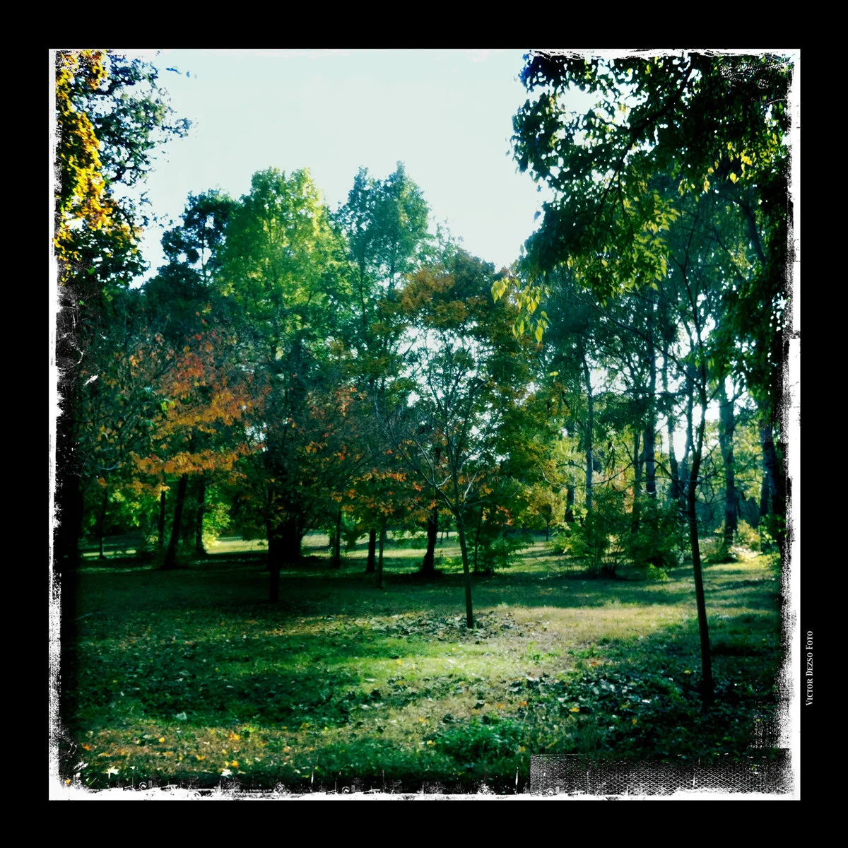 Gödölö_Oct_27_2011_0967_4x4.jpg