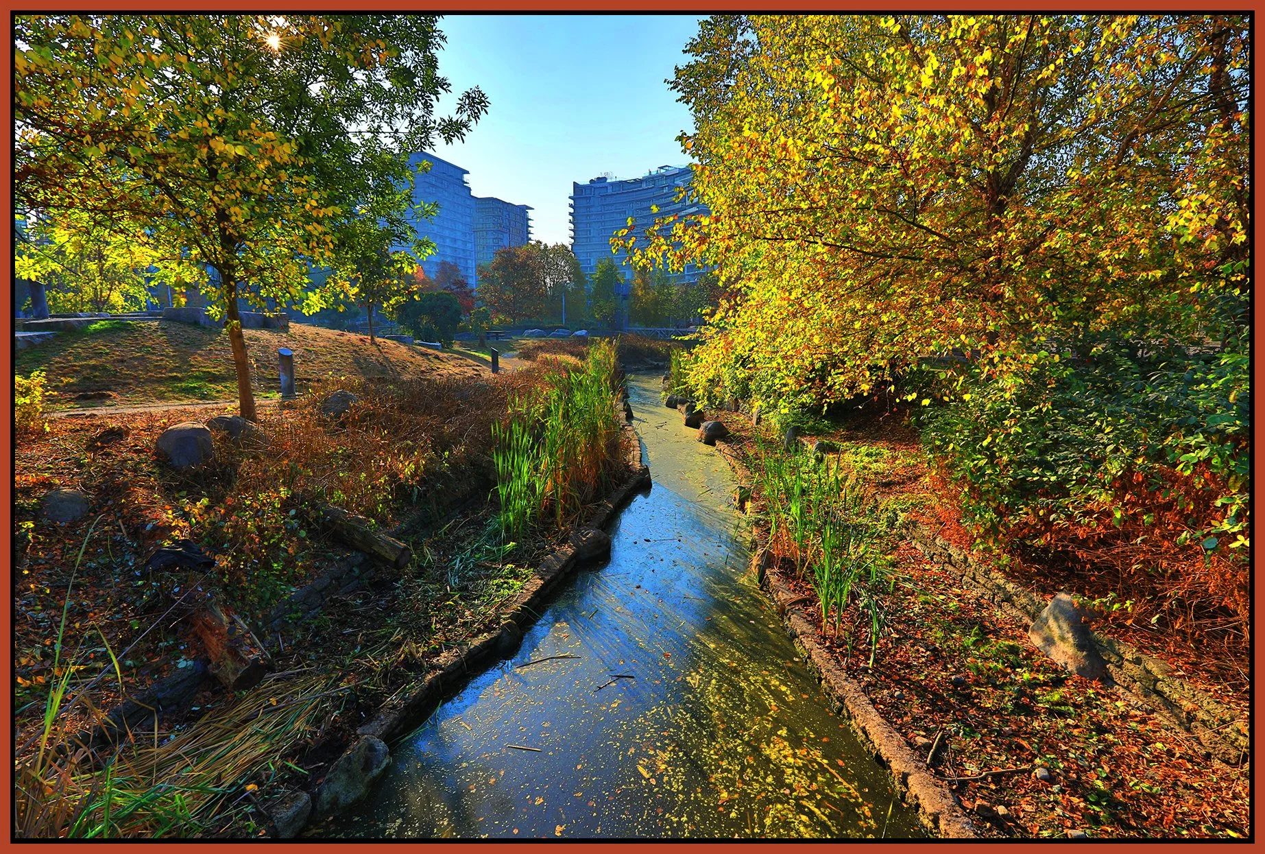 False Ck Creek_Oct 19_2022_HDR_5C3886_peWater_4x6s.jpg