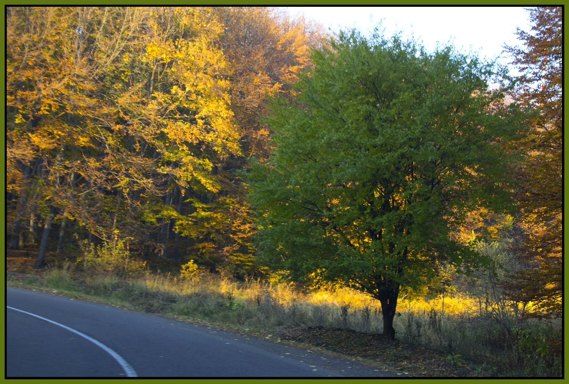 Mátra_Nov 1_2011_9582_4x6s.jpg