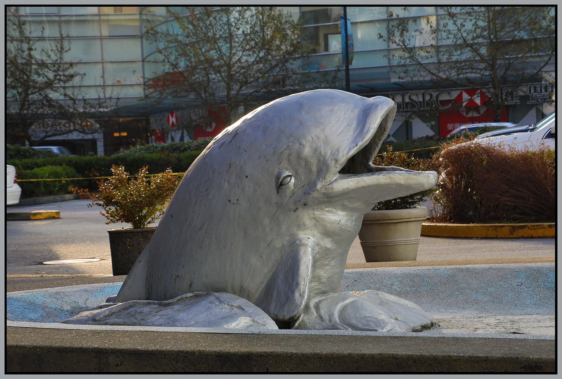 Fish Art in Richmond_Dec 4_2017_HDR_4B2685_4x6s.jpg