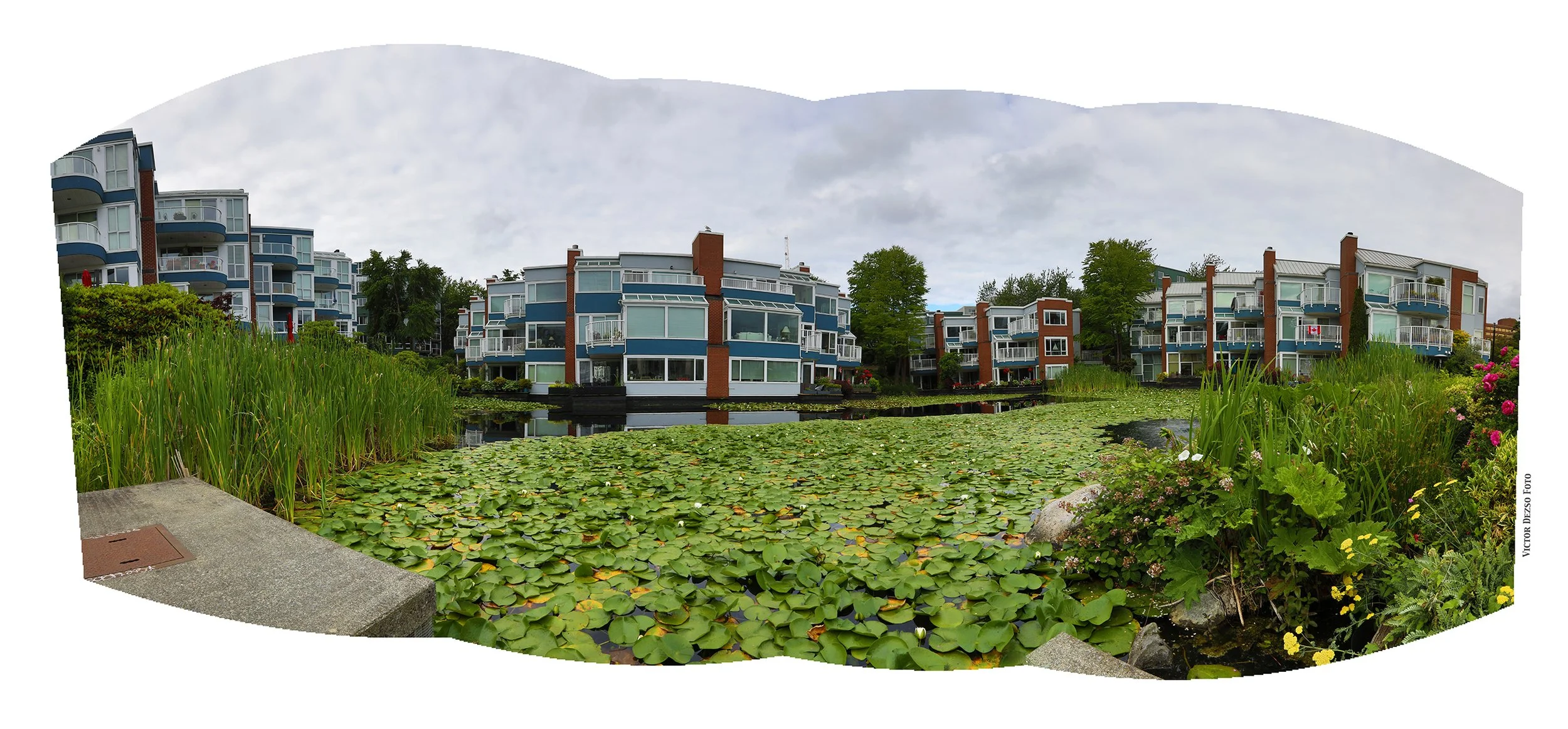 Island Park Walk Pond_Jul 1_2024_HDR_Pan_5E5563_4x9.jpg