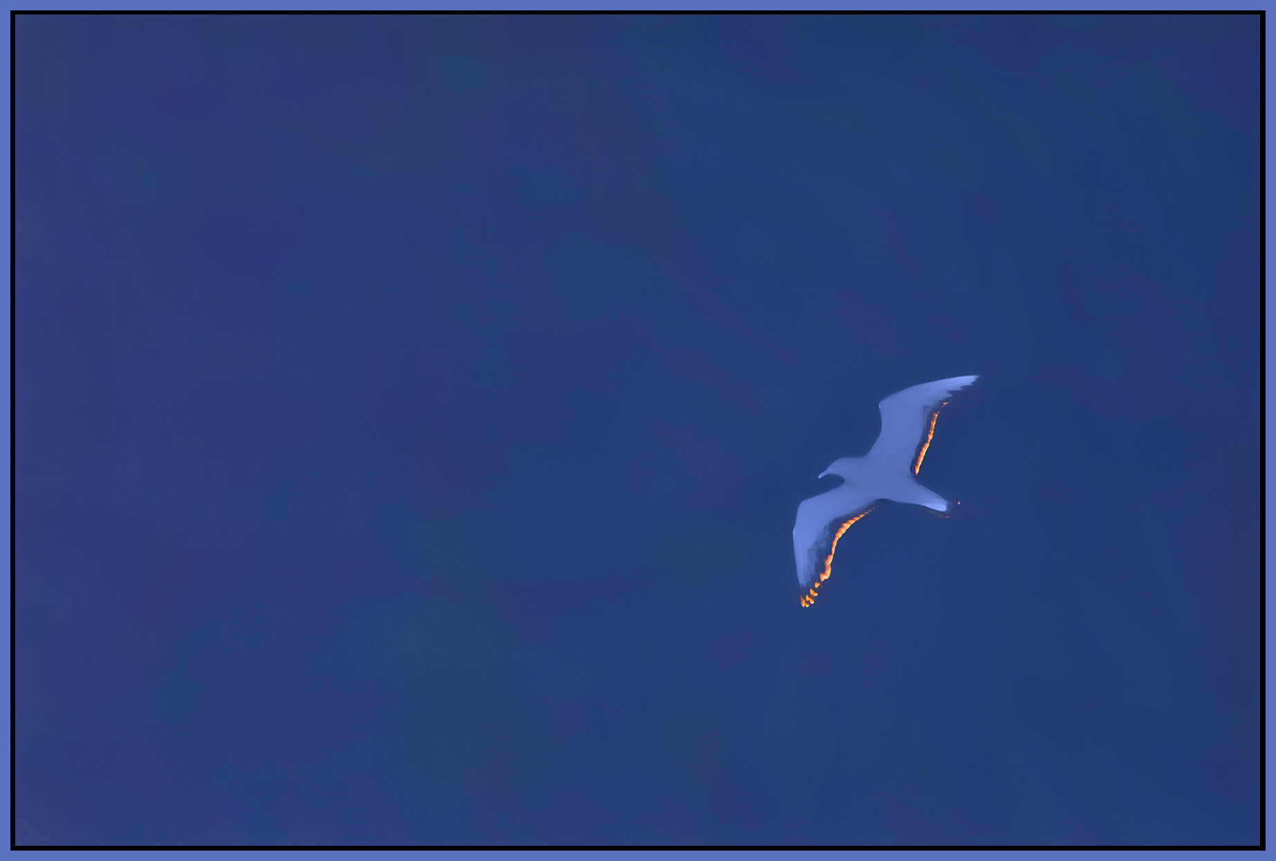 Seagull Ghost_Jul 13_2021_HDR_5A3203_peHdr2013_1_4x6s.jpg