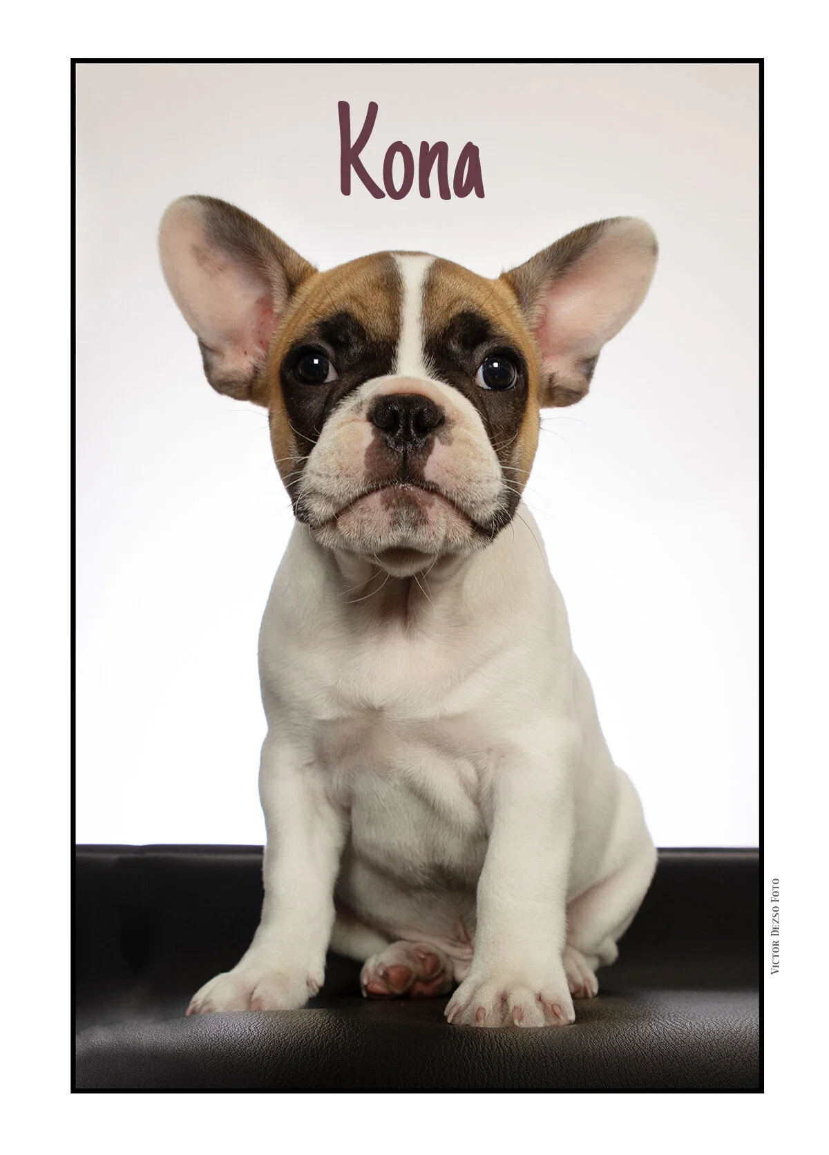 Kona_Sep 11_2021_CR2_5A2215_4x6ss2.jpg