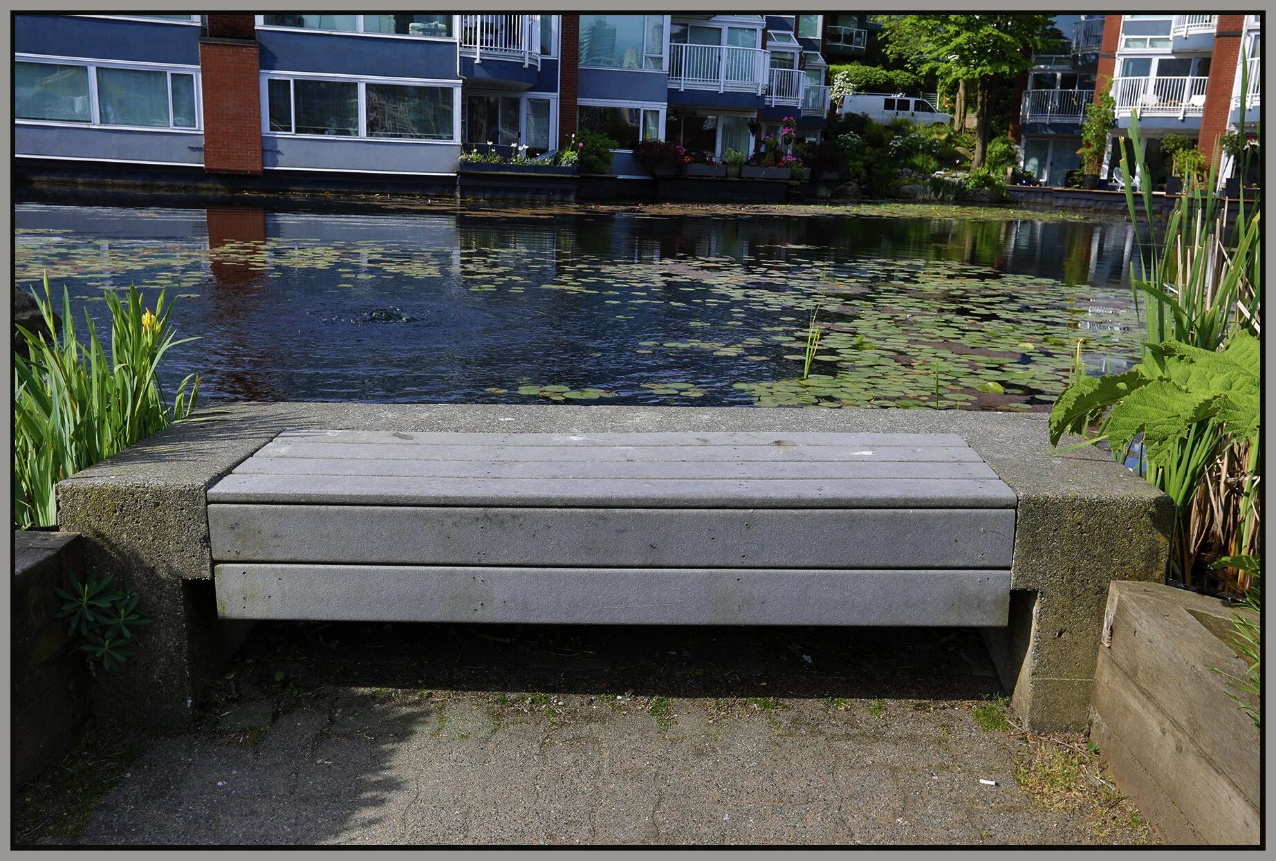 Bench Creekside_May 13_2019_HDR_E1157_4x6s.jpg