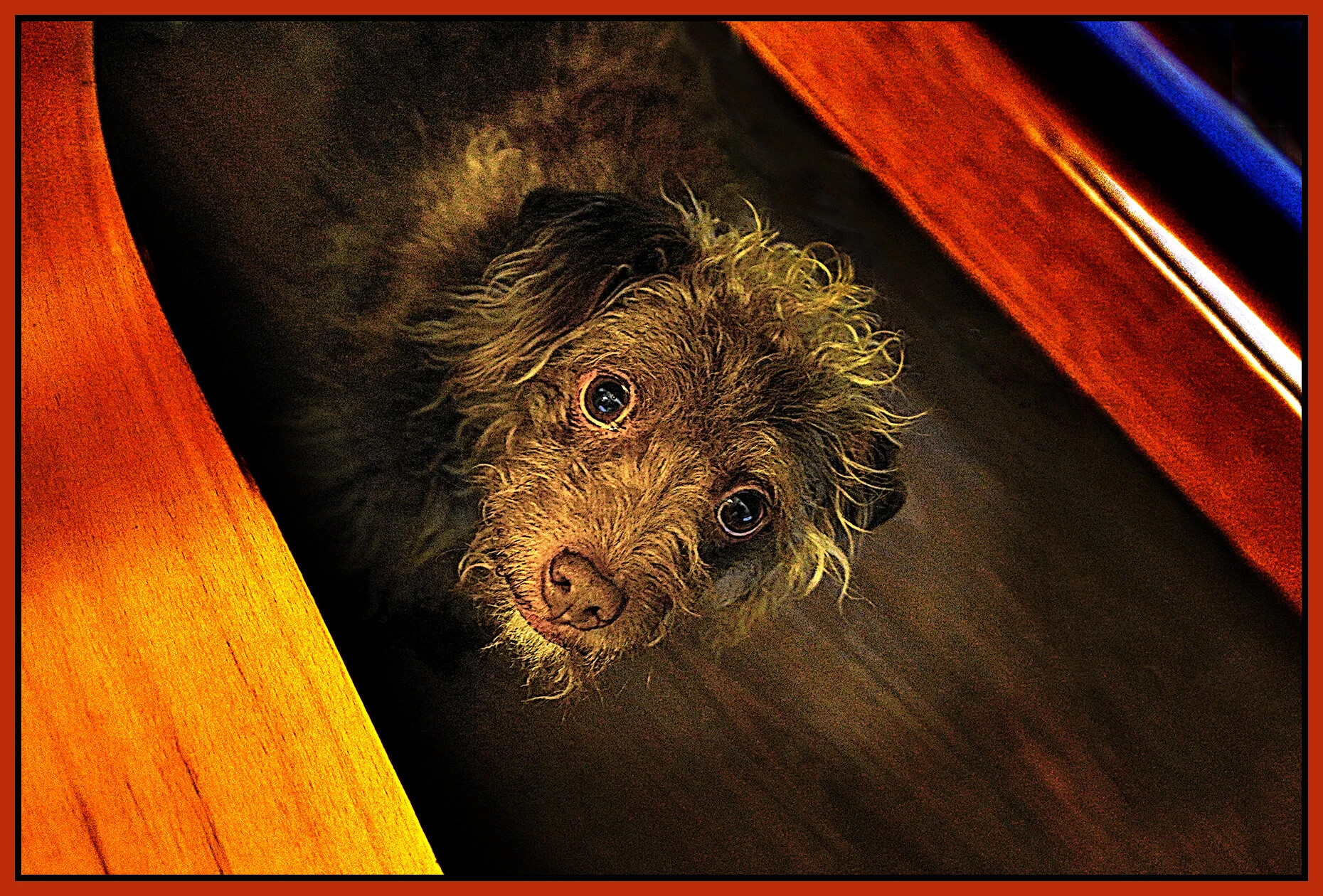 Frances Under a Table_Mar 14_2021_HDR_4G6317_peComicBk_4x6s.jpg