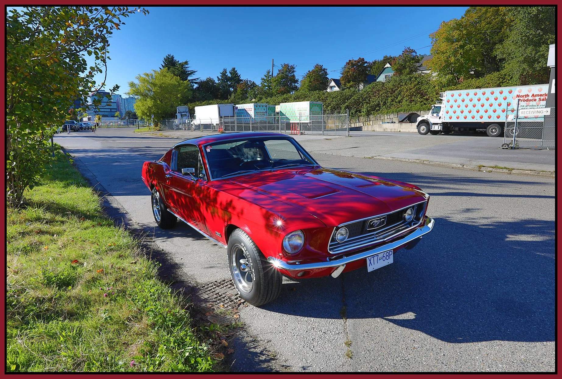Ford Mustang 1967_Oct 5_2025_HDR_4K3915_4x6s.jpg