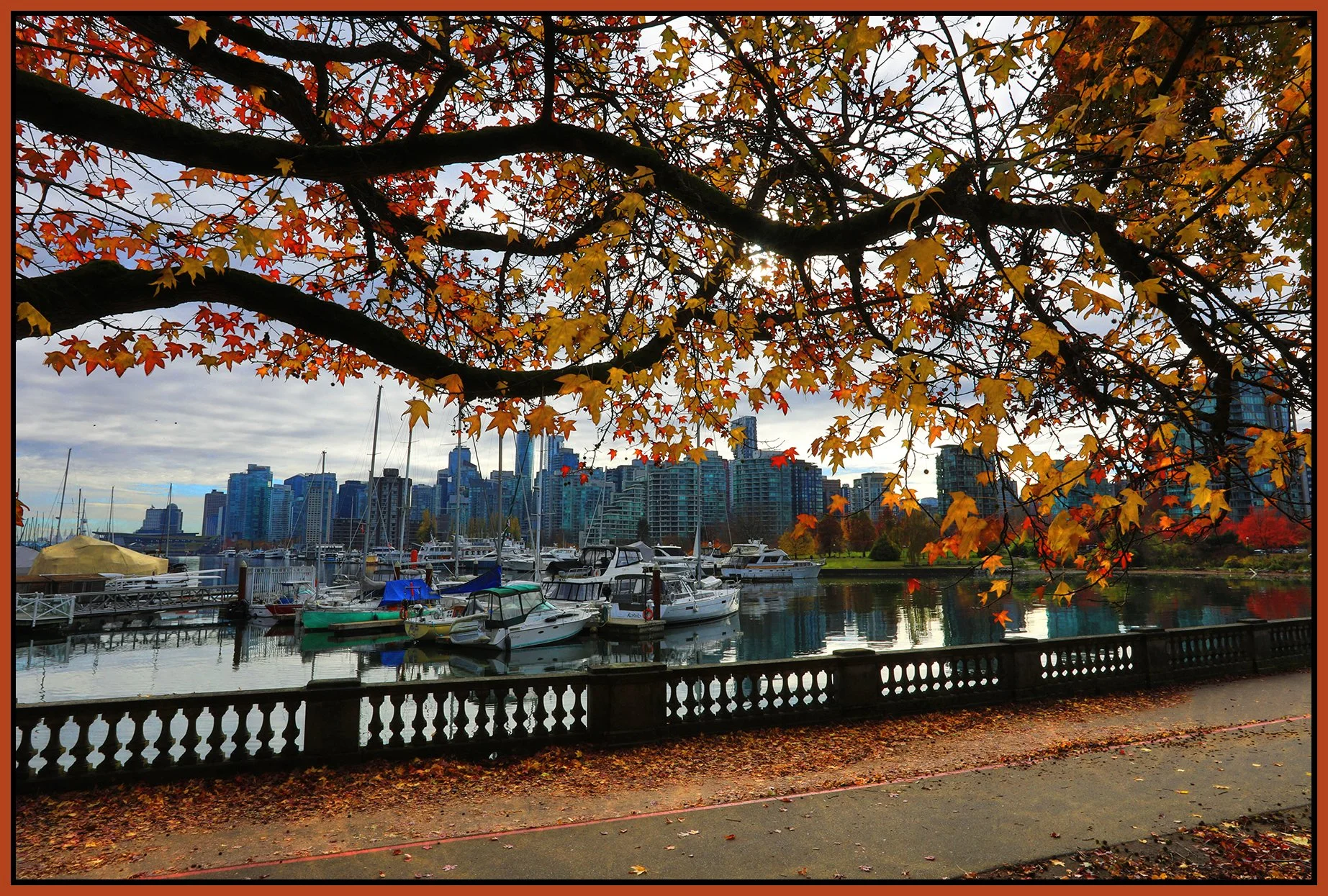 Vancouver from Stanley Park_Nov 7_2024_HDR_5E4359_peUndrwatrRefrction_4x6s.jpg