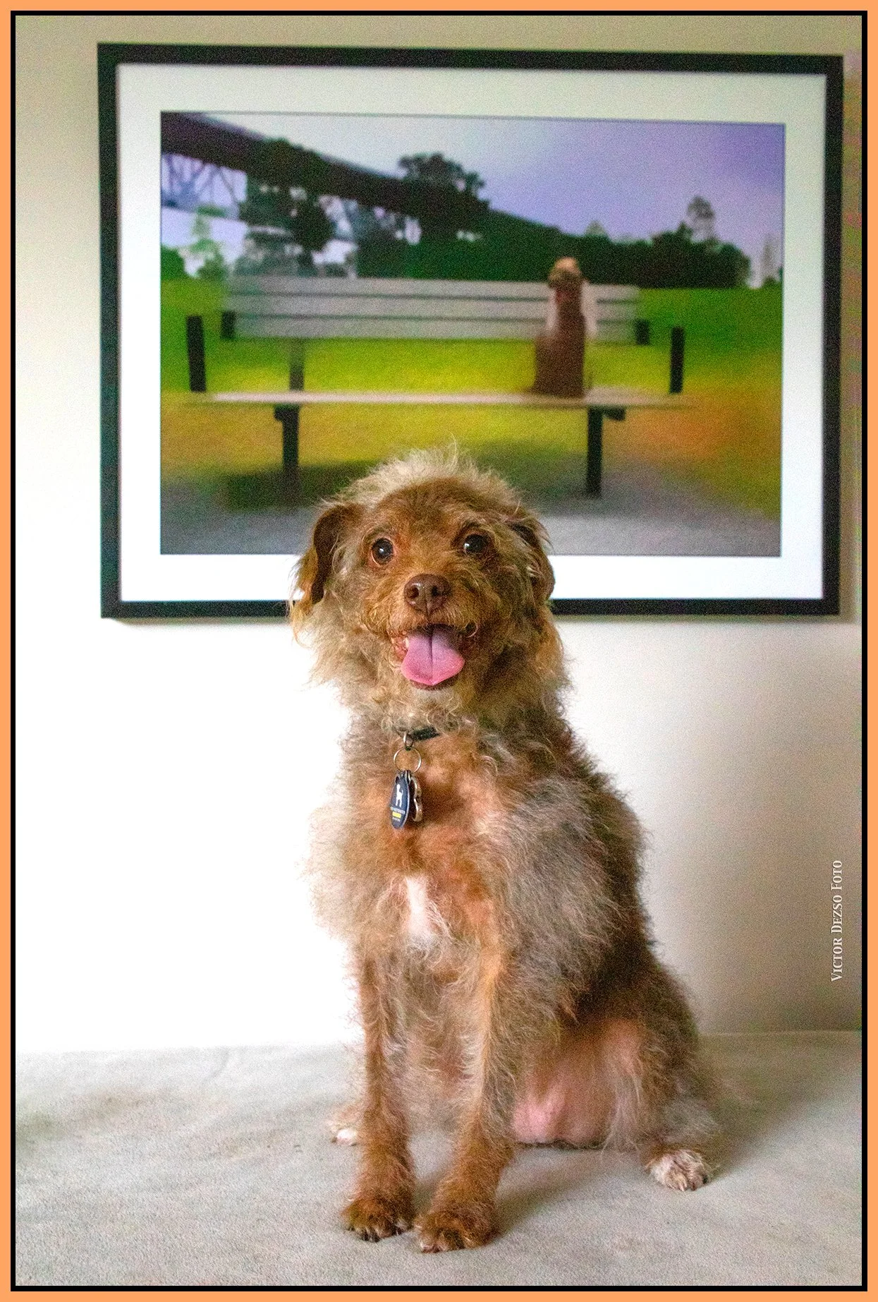 Frances_Mar 28_2024_CR2_4H5832_pePS_4x6s.jpg