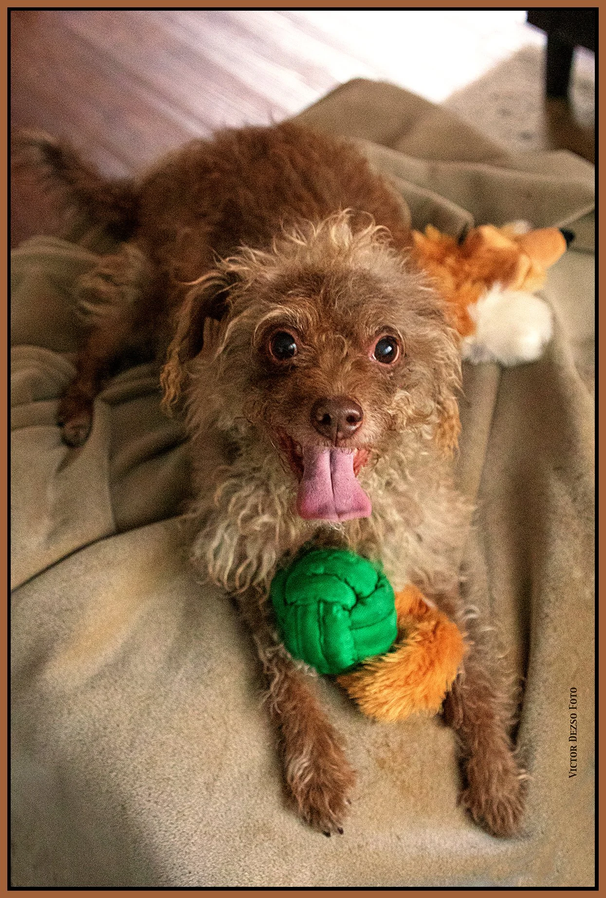 Frances_Dec 26_2024_CR2_4J4789_peHyprstrip_PCS_ExpMrg_4x6s.jpg