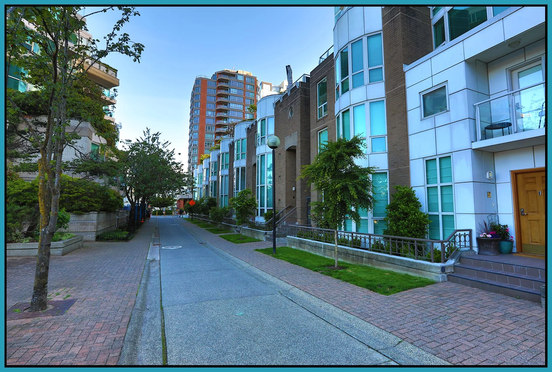 T13 Seabreeze Walk Trees_Jun 5_2024_HDR_4J0284_4x6s.jpg