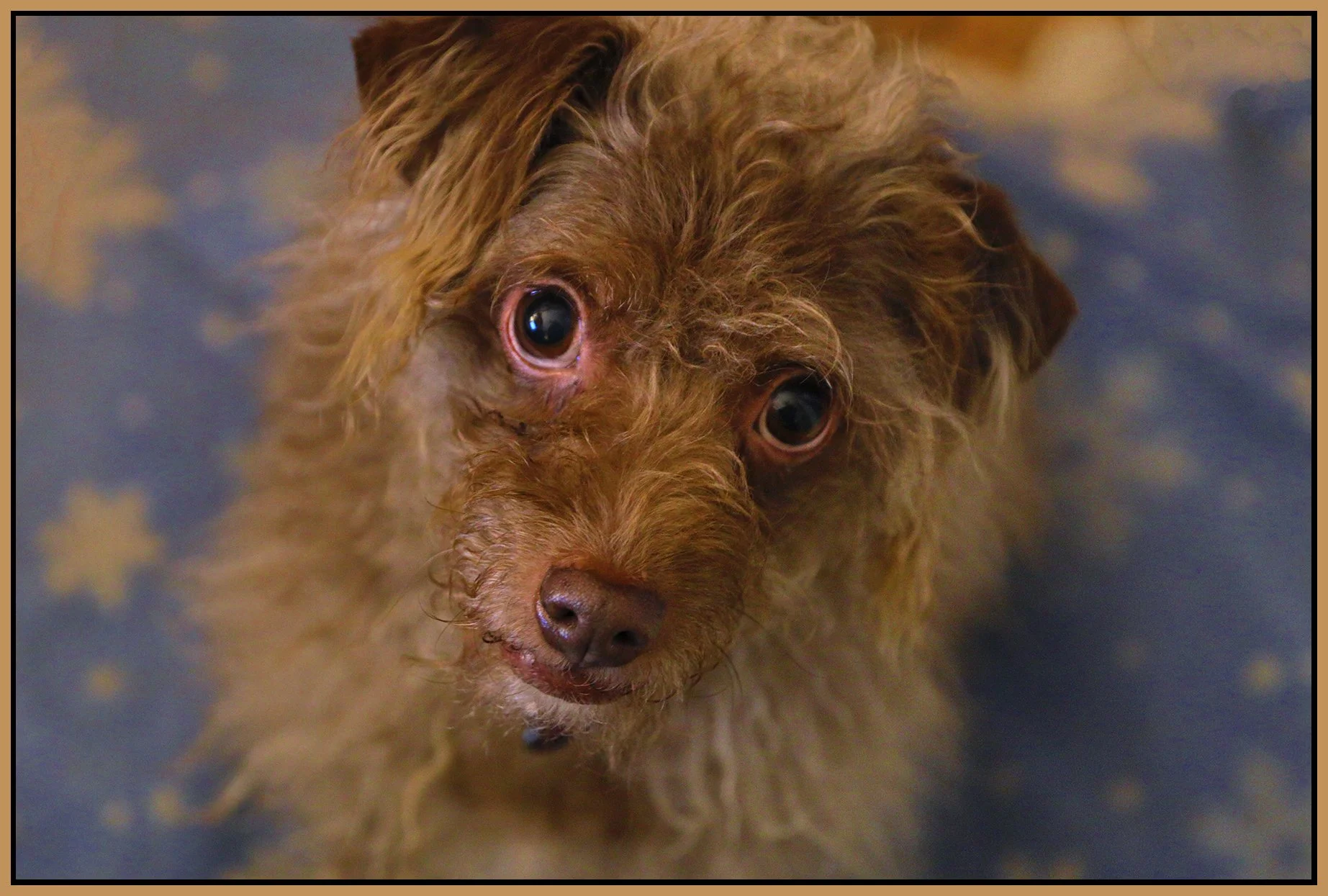 Frances_Jan 3_2022_HDR_4G5796_4x6s.jpg