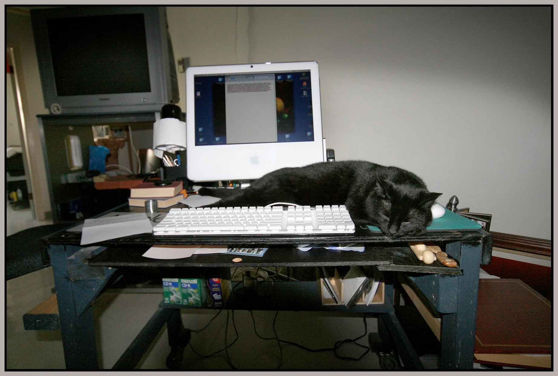 CC at 260-201 Raymur Ave_2007_7539_4x6s.jpg